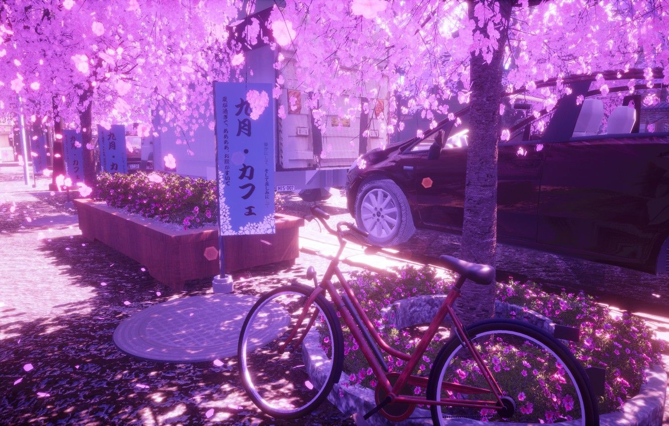 Spring Bicycle Wallpapers - 4k, HD Spring Bicycle Backgrounds on ...