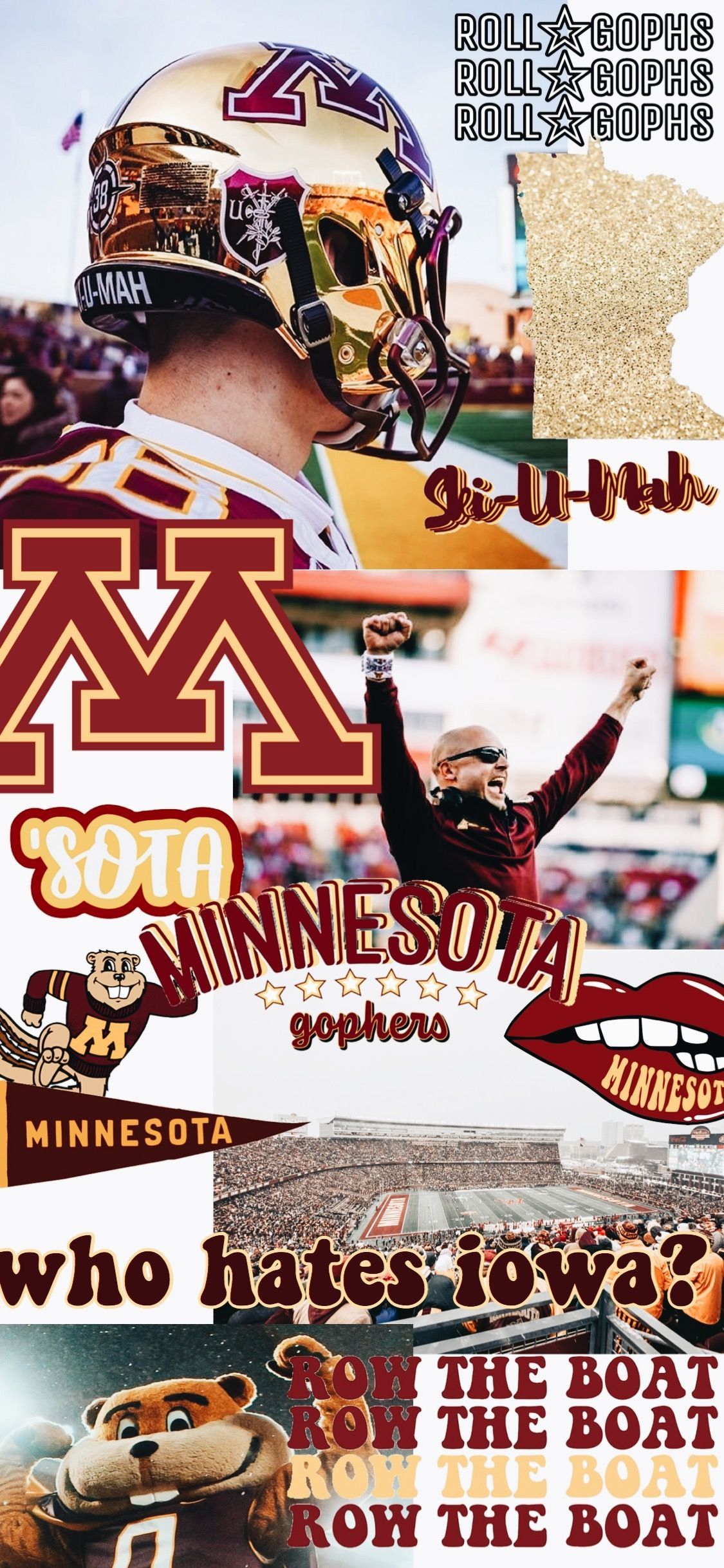 Minnesota Gophers Wallpapers - 4k, HD Minnesota Gophers Backgrounds On ...