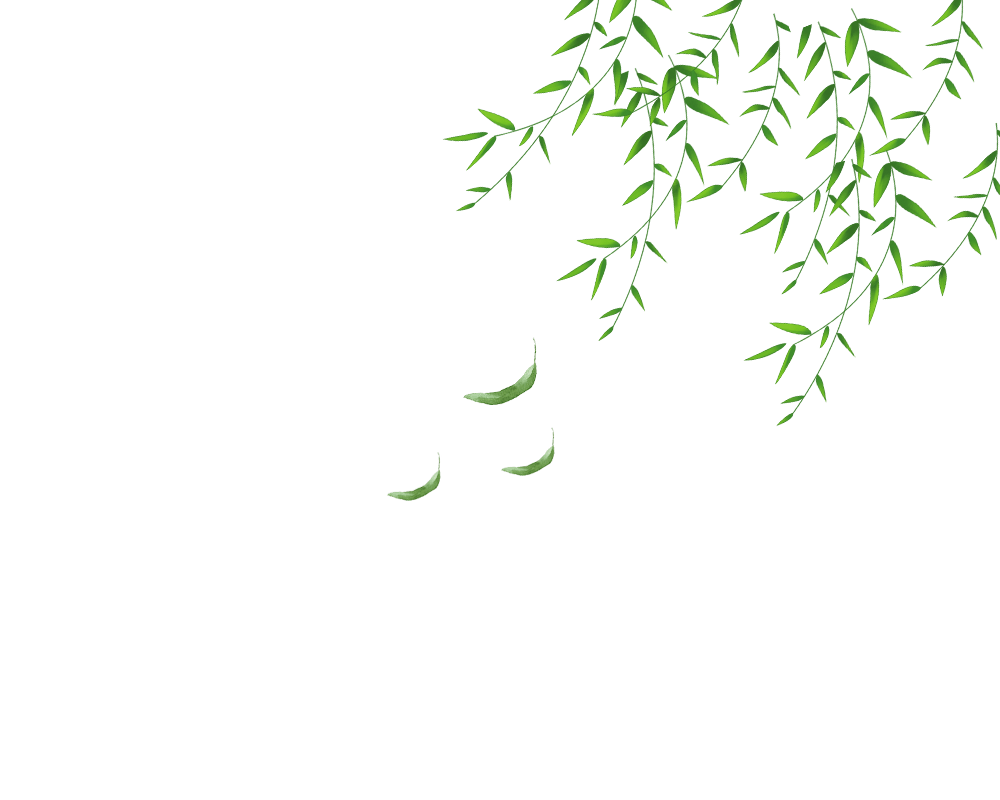 Wind leaves. Wind leaves PNG. Wind blows the Green leaves.