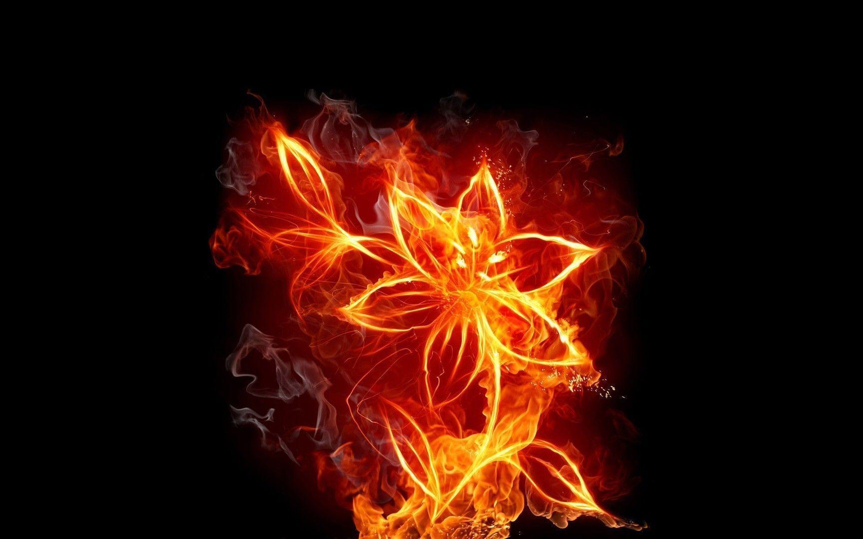 Fire Flowers Wallpapers - 4k, HD Fire Flowers Backgrounds on WallpaperBat