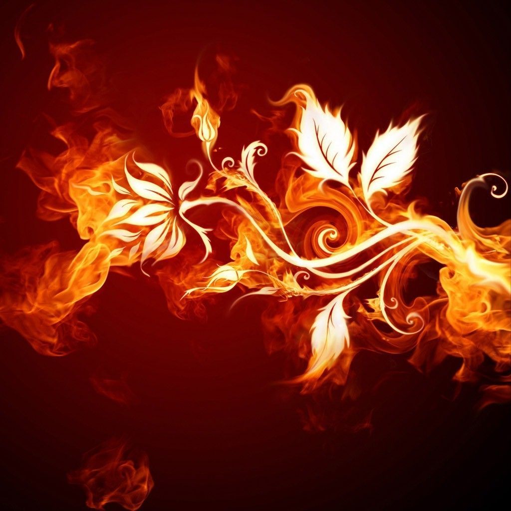 Fire Flowers Wallpapers - 4k, HD Fire Flowers Backgrounds on WallpaperBat