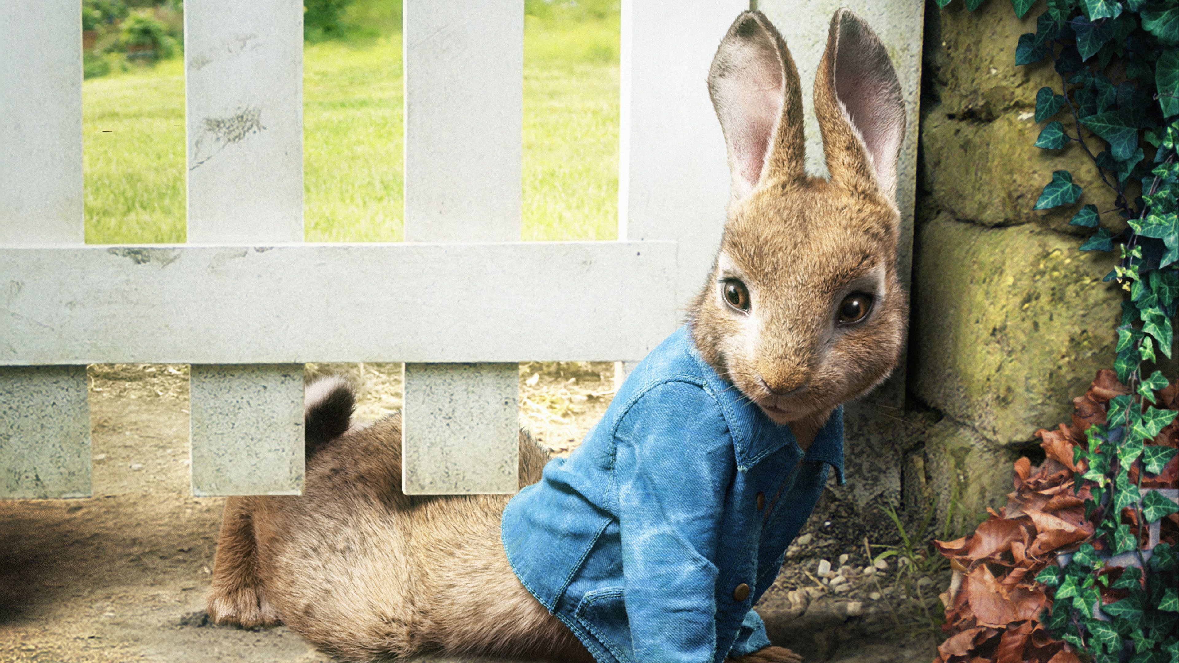 Peter Rabbit Wallpapers - 4k, HD Peter Rabbit Backgrounds on WallpaperBat