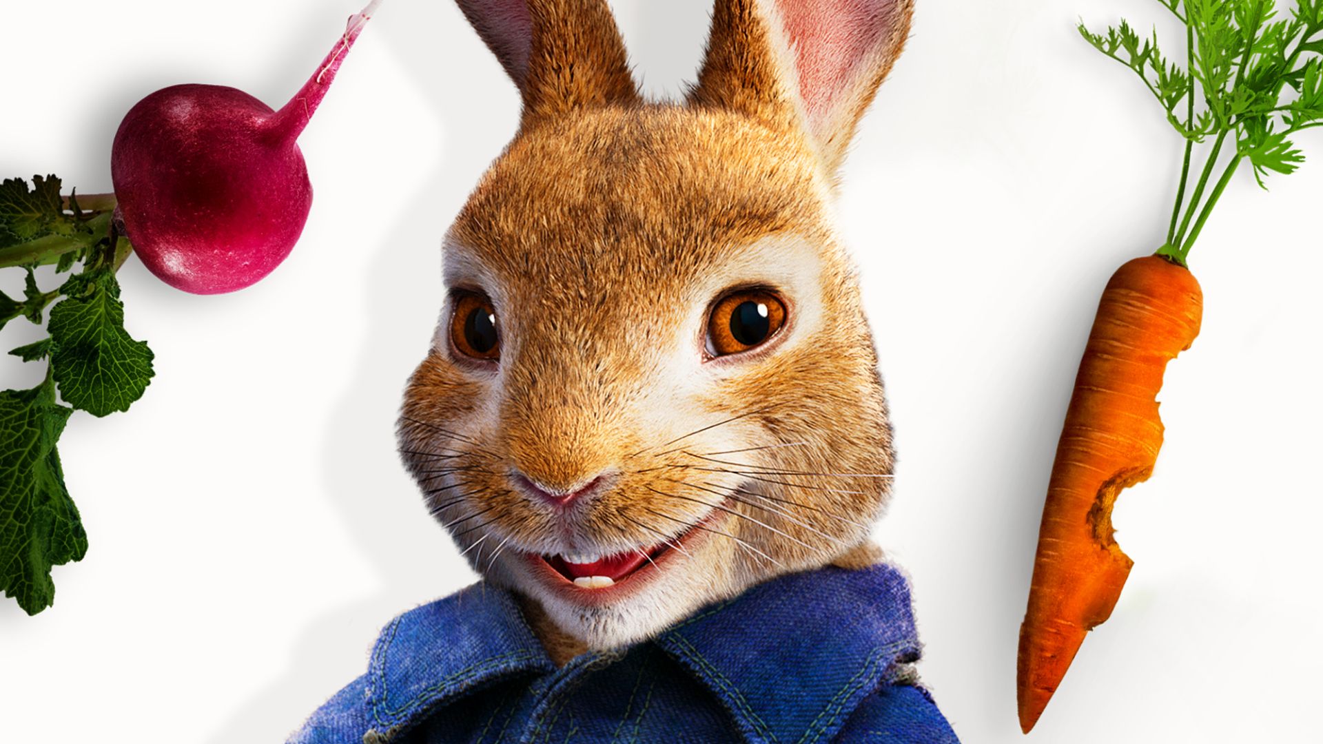 Peter Rabbit Wallpapers - 4k, HD Peter Rabbit Backgrounds on WallpaperBat