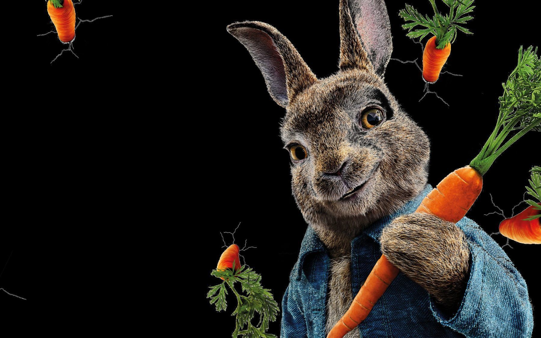 Peter Rabbit Wallpapers - 4k, Hd Peter Rabbit Backgrounds On Wallpaperbat