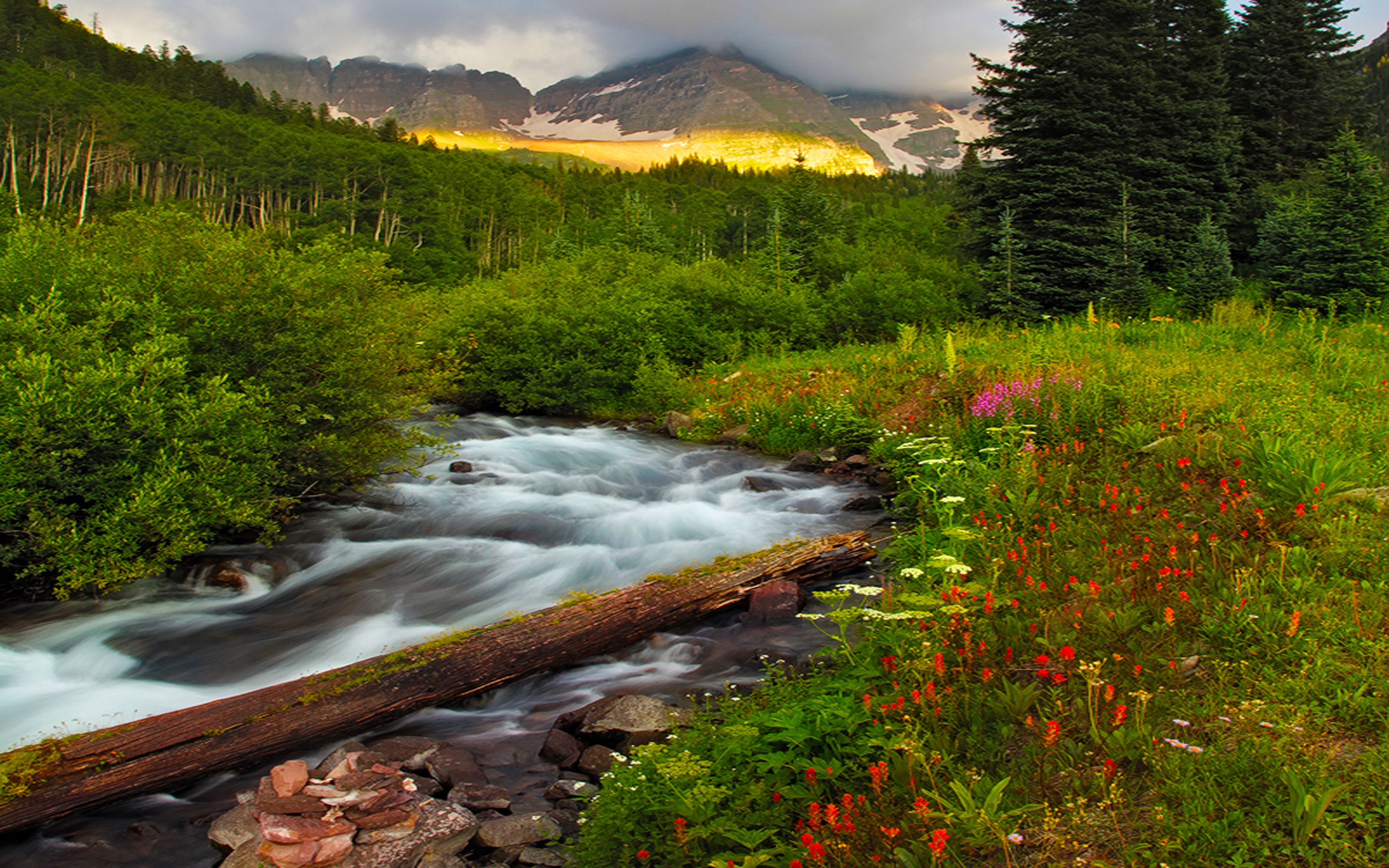 Rivers and Flowers Wallpapers - 4k, HD Rivers and Flowers Backgrounds