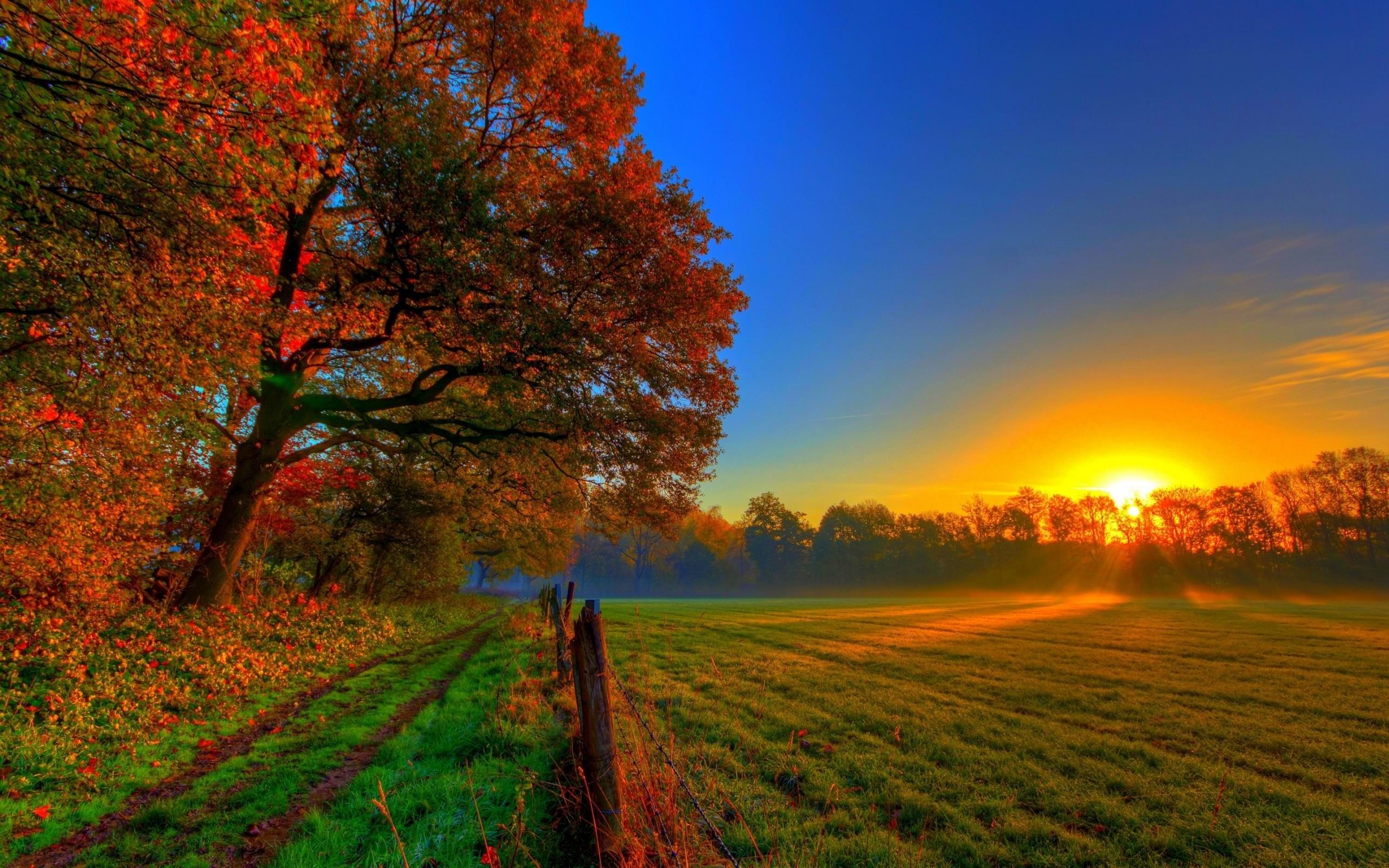 Autumn Sunset Panoramic Wallpapers - 4k, HD Autumn Sunset Panoramic ...