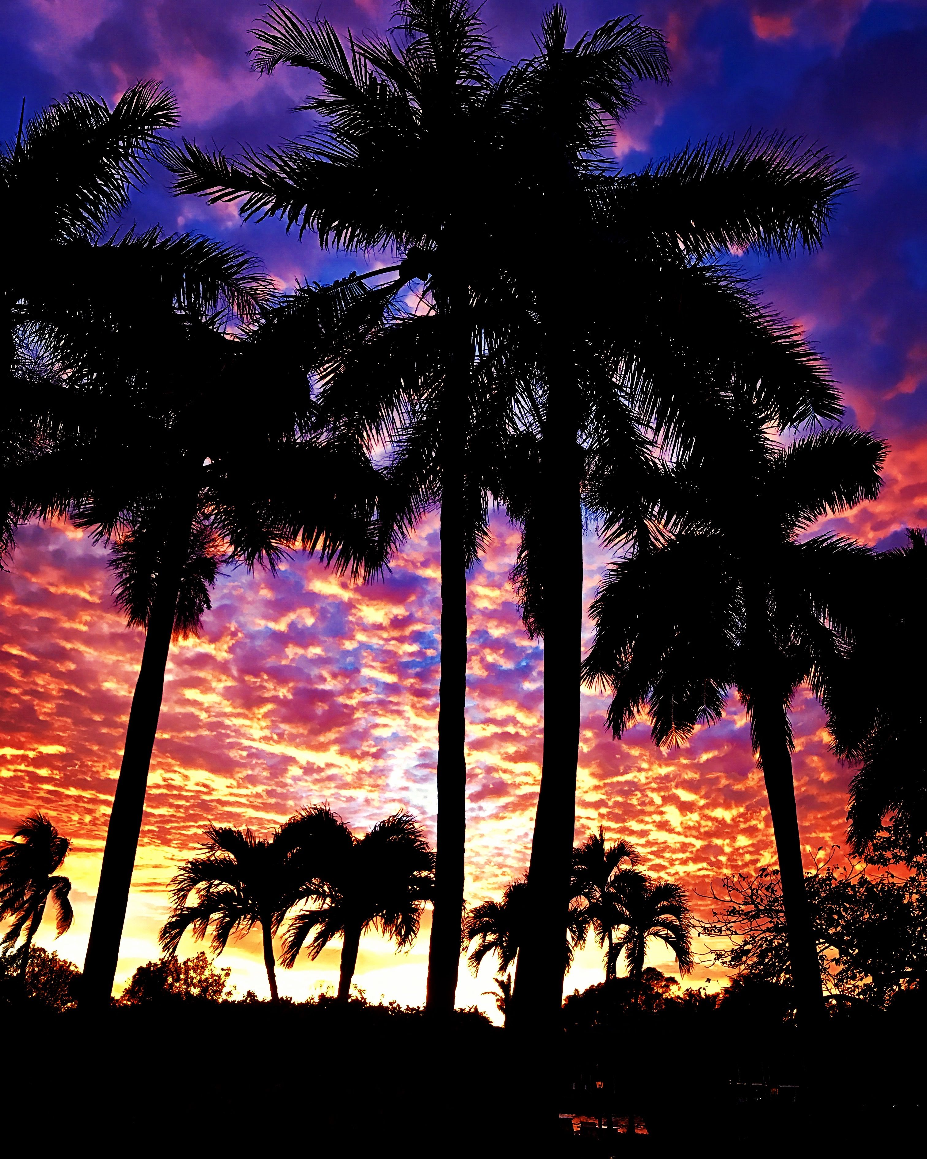 South Florida Sunset Wallpapers 4k Hd South Florida Sunset