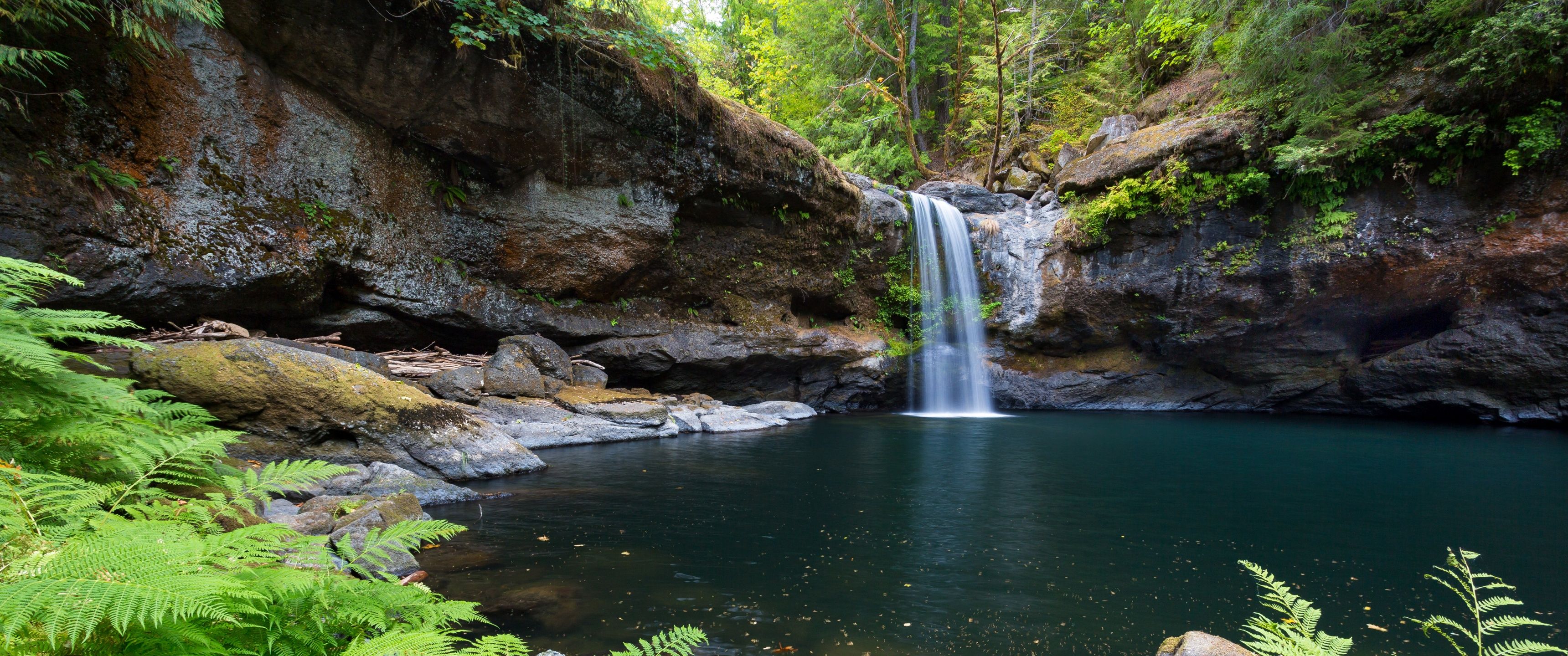 4k Forest River Wallpapers - 4k, HD 4k Forest River Backgrounds on