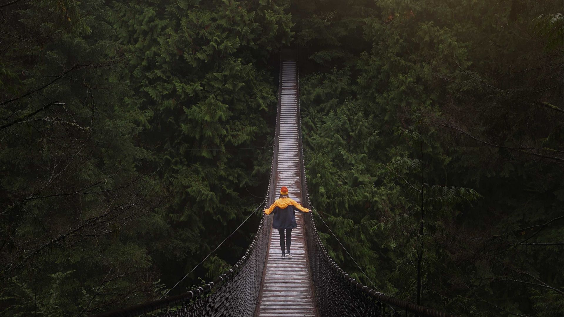 1920x1080 Download wallpaper 1920x1080 bridge, man, hanging, trees, forest ... Wallpaper