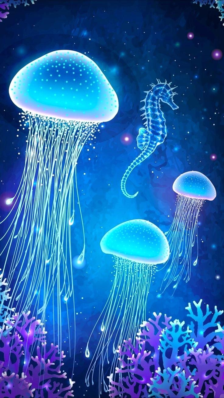 Cool Jellyfish Wallpapers - 4k, HD Cool Jellyfish Backgrounds on