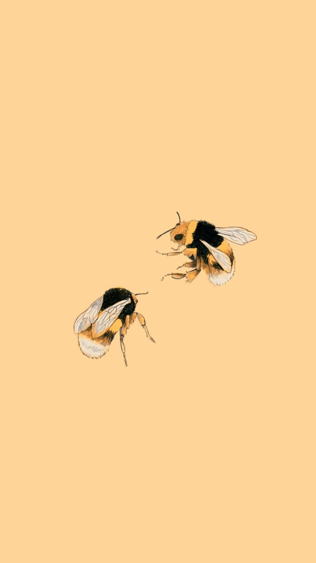 Aesthetic Bee Wallpapers - 4k, HD Aesthetic Bee Backgrounds on WallpaperBat