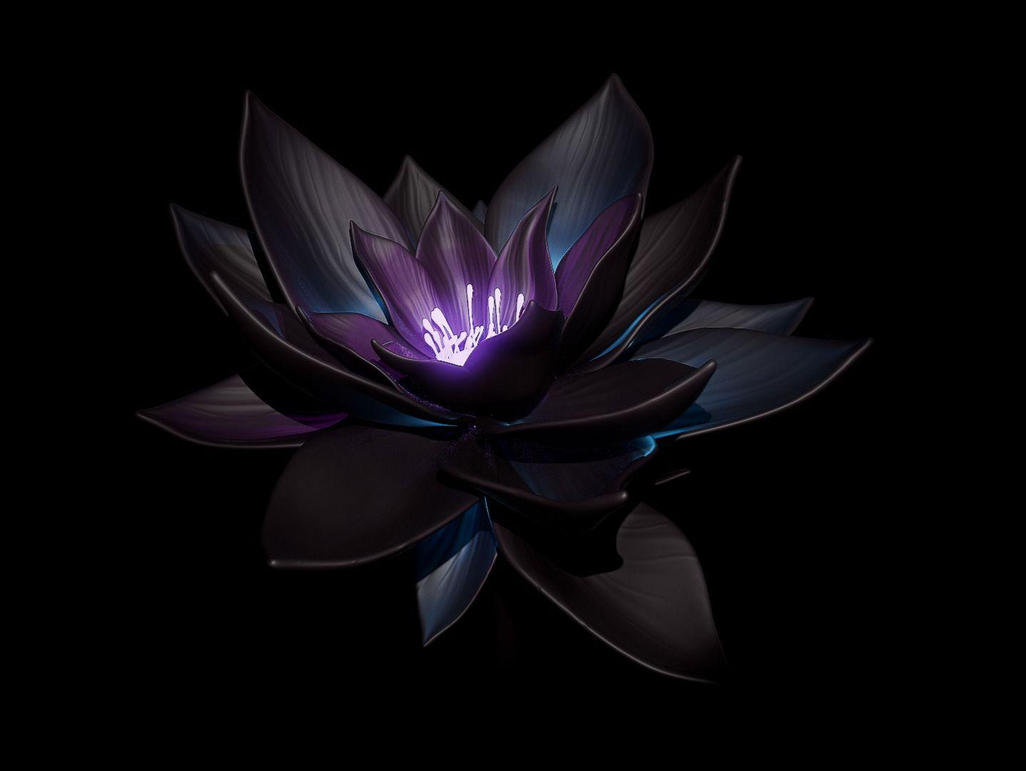 Black Lotus Wallpapers 4k Hd Black Lotus Backgrounds On Wallpaperbat 3956