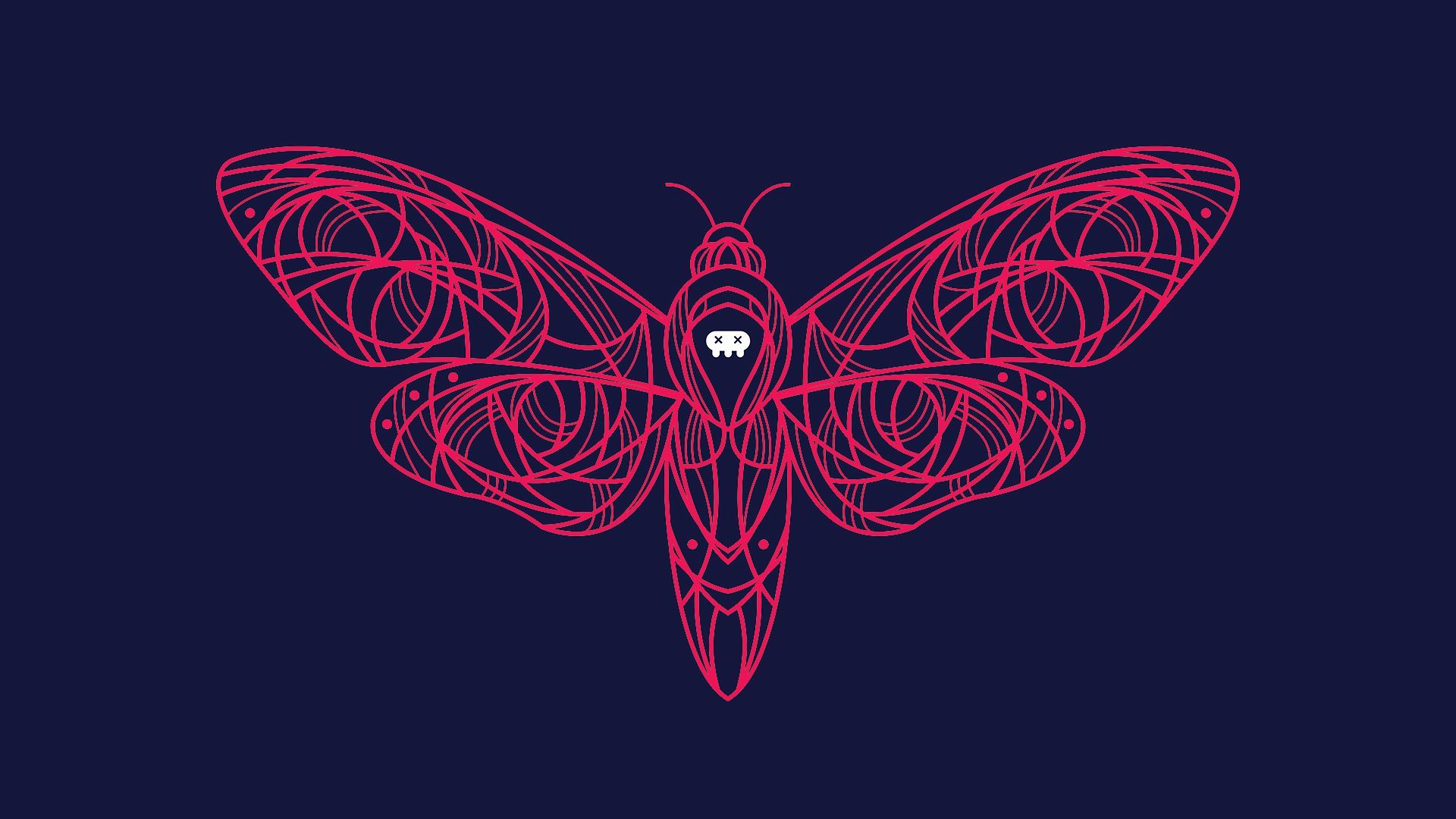 Moth Wallpapers - 4k, HD Moth Backgrounds on WallpaperBat