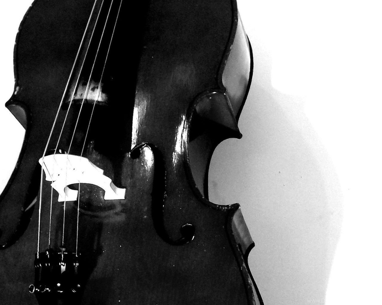 1280x1024 Cello Wallpaper Desktop Background on WallpaperBat