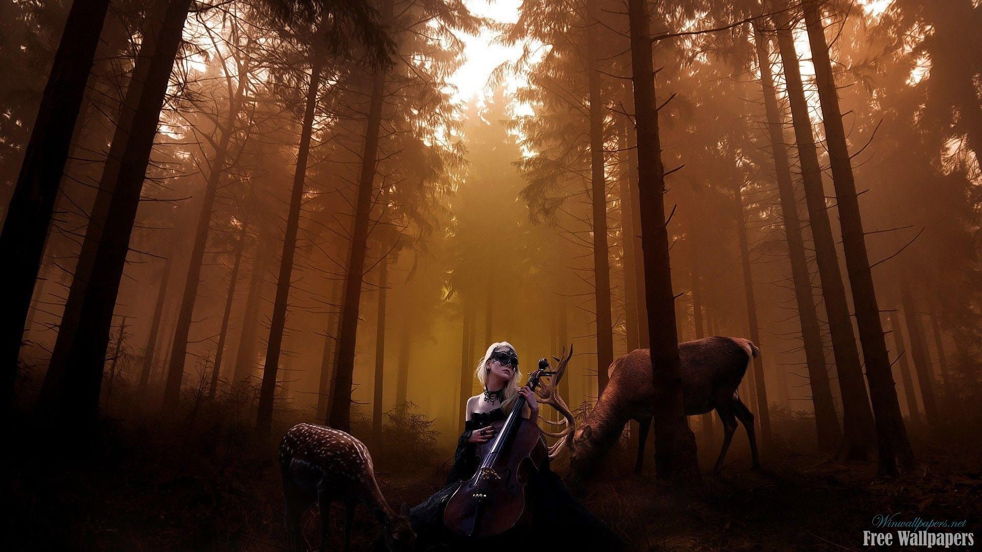 1920x1080 Cello Wallpaper. HD Windows Wallpaper on WallpaperBat