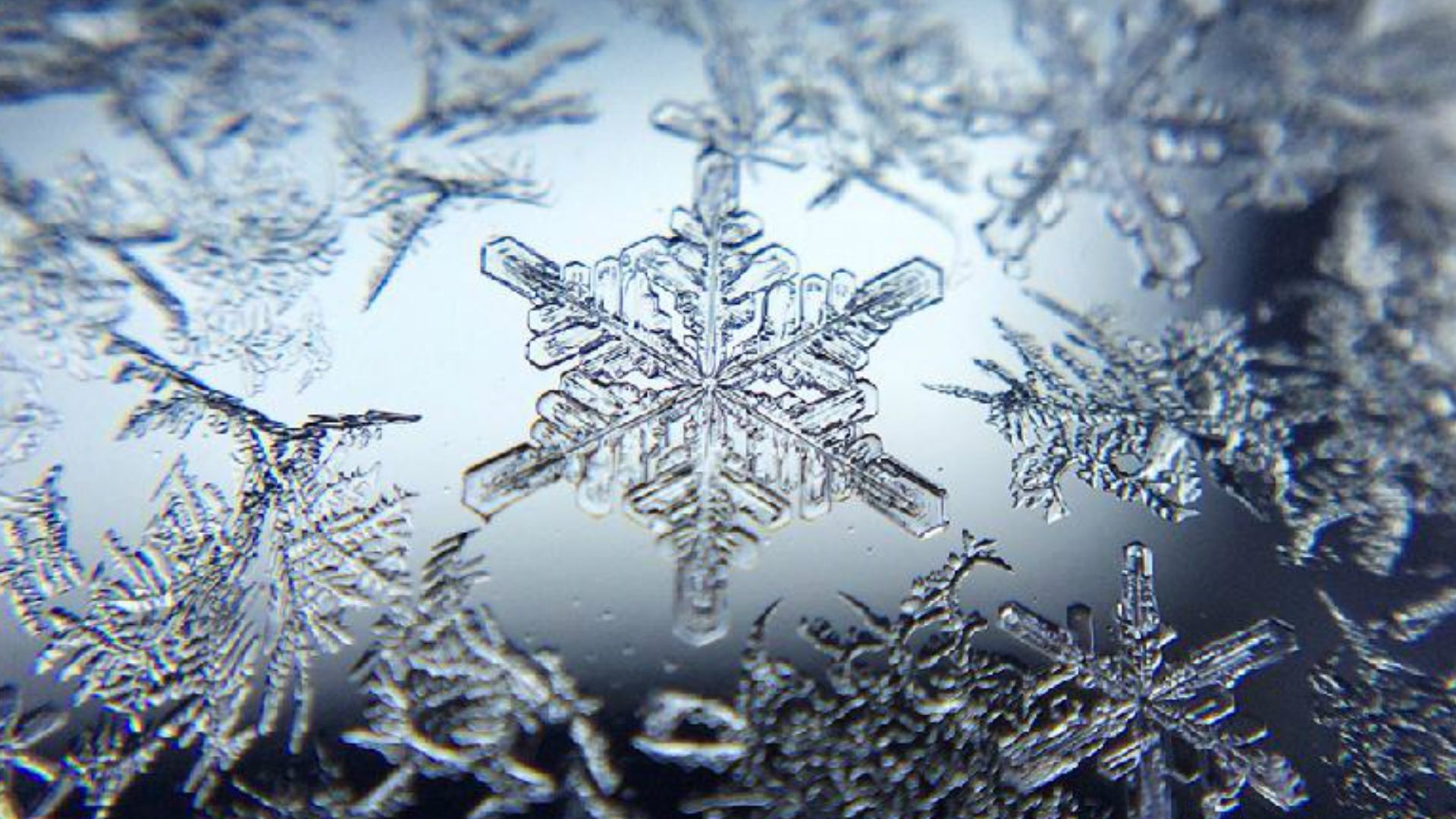How history's first photos of snowflakes were made