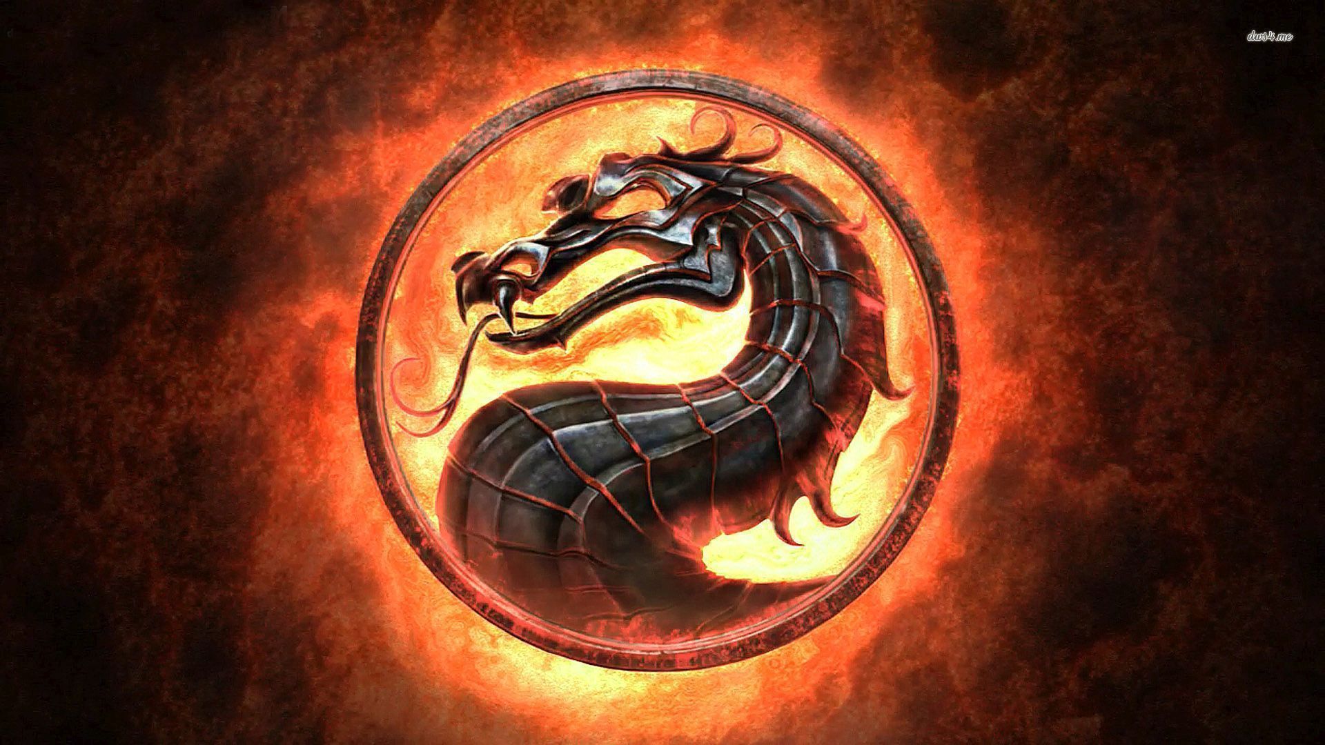 Dragon Logo Wallpapers - 4k, HD Dragon Logo Backgrounds on WallpaperBat