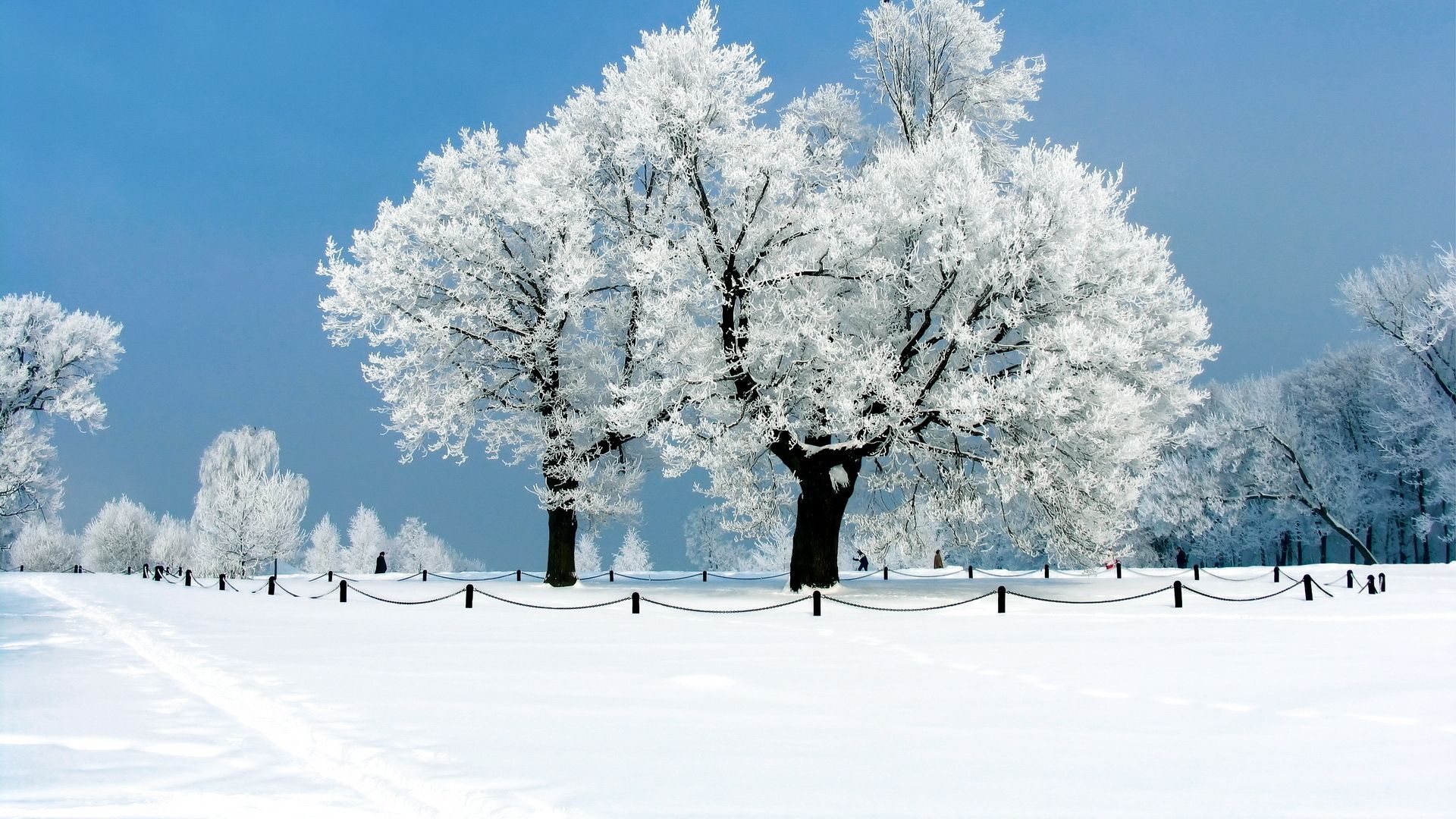 HD Winter Wallpapers - 4k, HD Winter Backgrounds on WallpaperBat