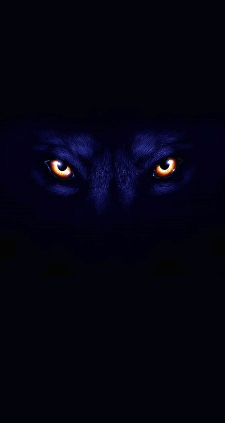 Dark Wolf Tiger Wallpapers - 4k, HD Dark Wolf Tiger Backgrounds on ...