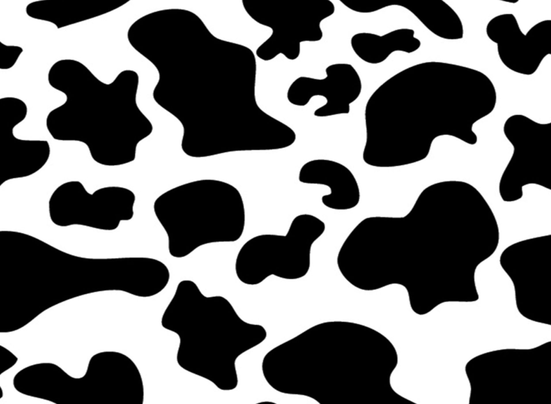 Cool Cow Print Wallpaper - KoLPaPer - Awesome Free HD Wallpapers
