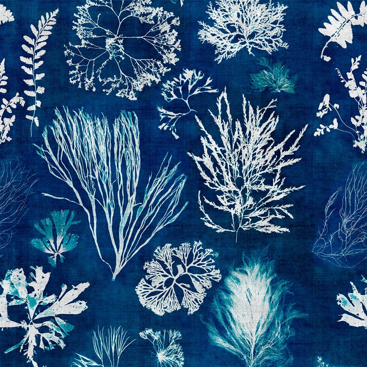 1280x1280 ALGAE Navy Blue Wallpaper - Designer Collection - Wallpaper - Products Wallpaper