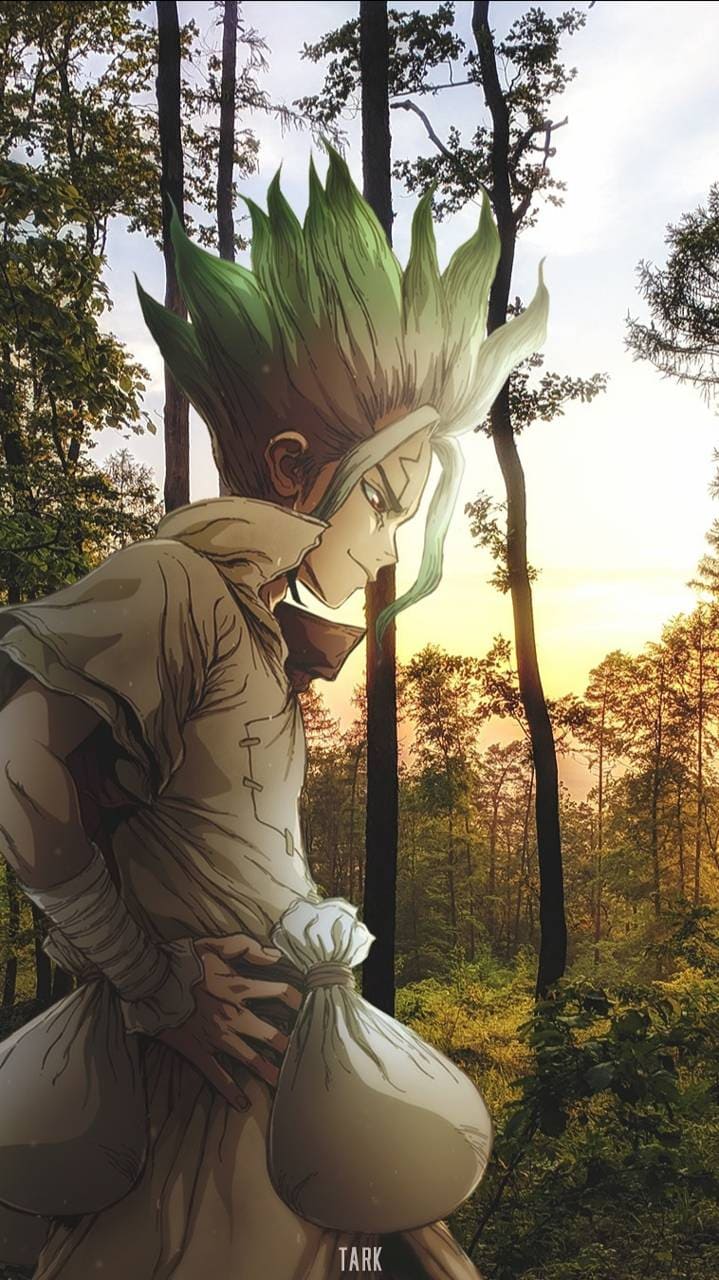 Dr Stone Phone Wallpapers - 4k, HD Dr Stone Phone Backgrounds on