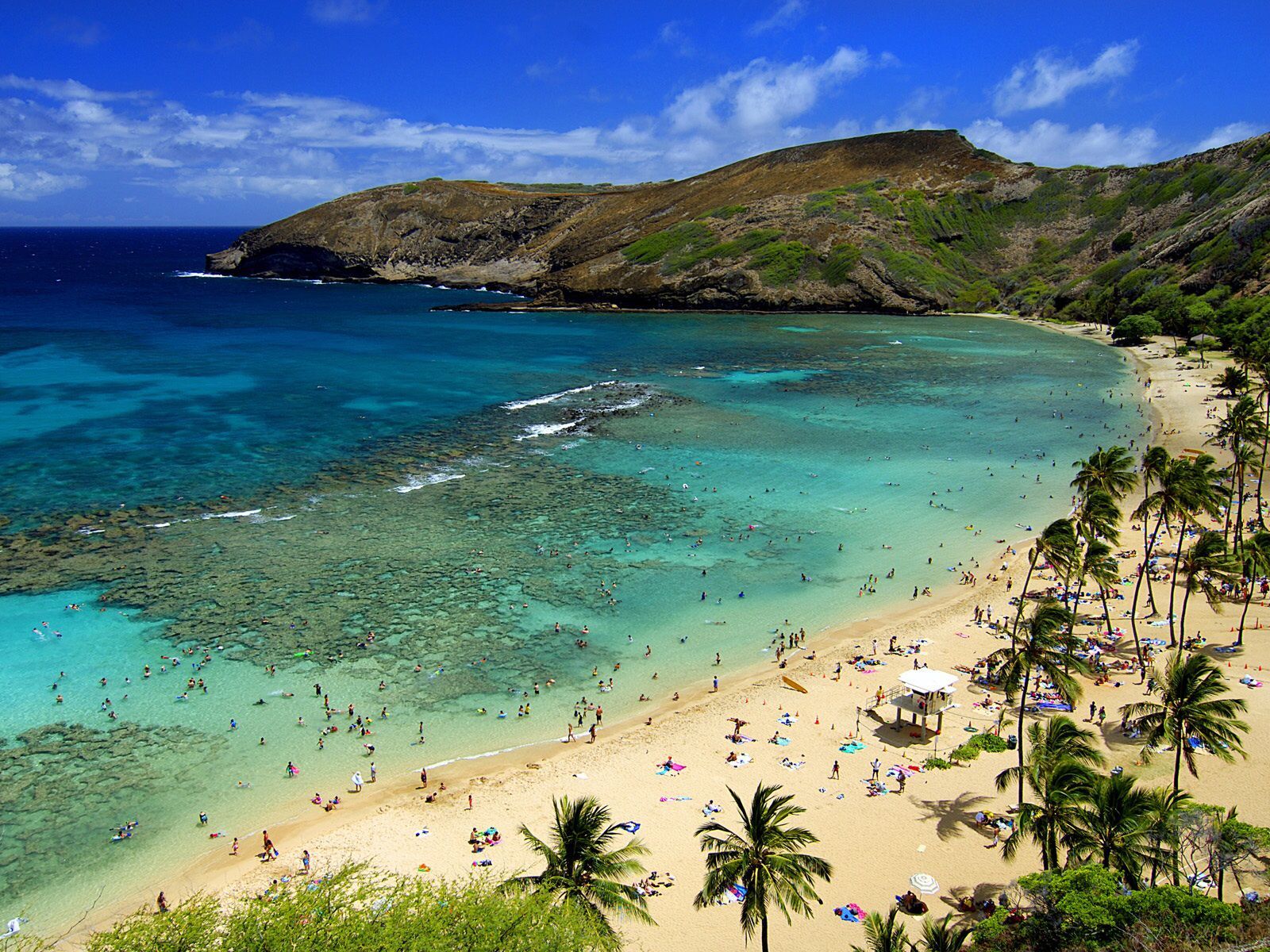 Hanauma Bay Wallpapers - 4k, HD Hanauma Bay Backgrounds on WallpaperBat