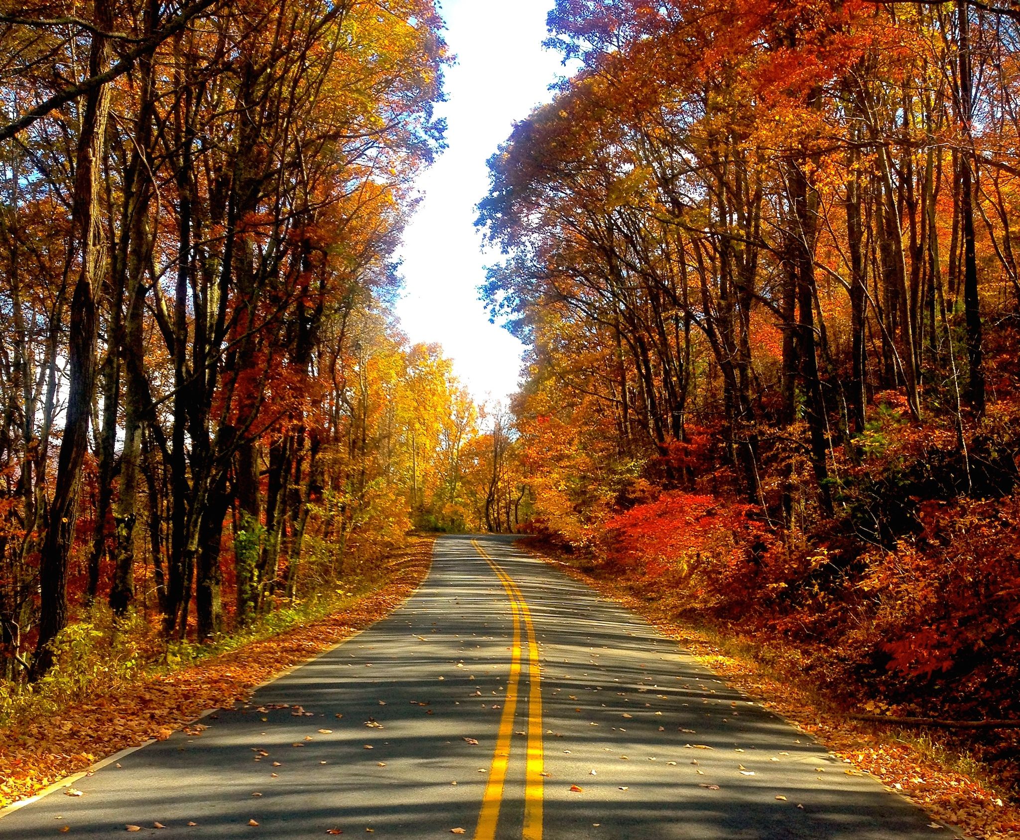 Autumn Road Wallpapers.