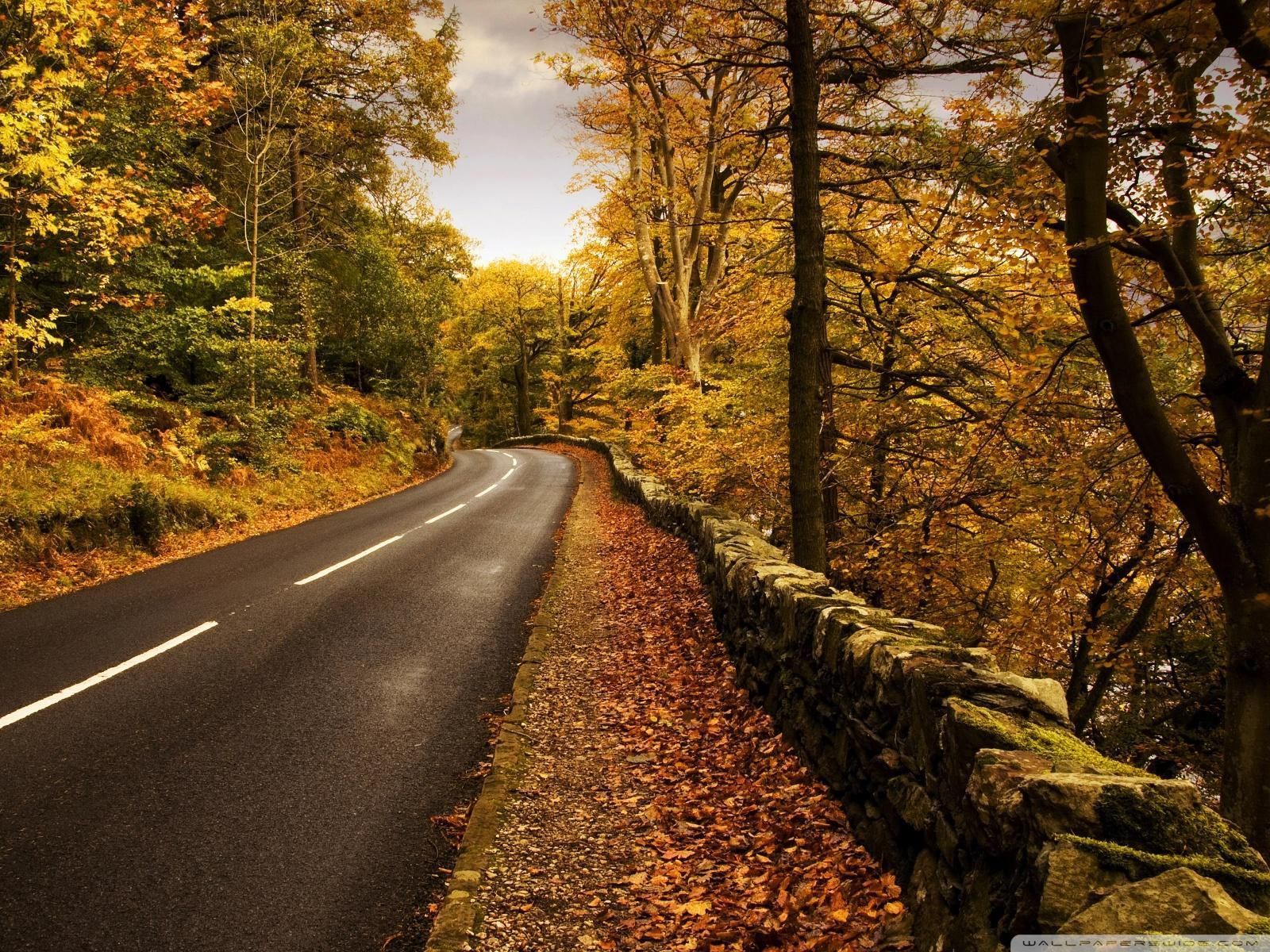 Autumn Road Wallpapers - 4k, HD Autumn Road Backgrounds on WallpaperBat