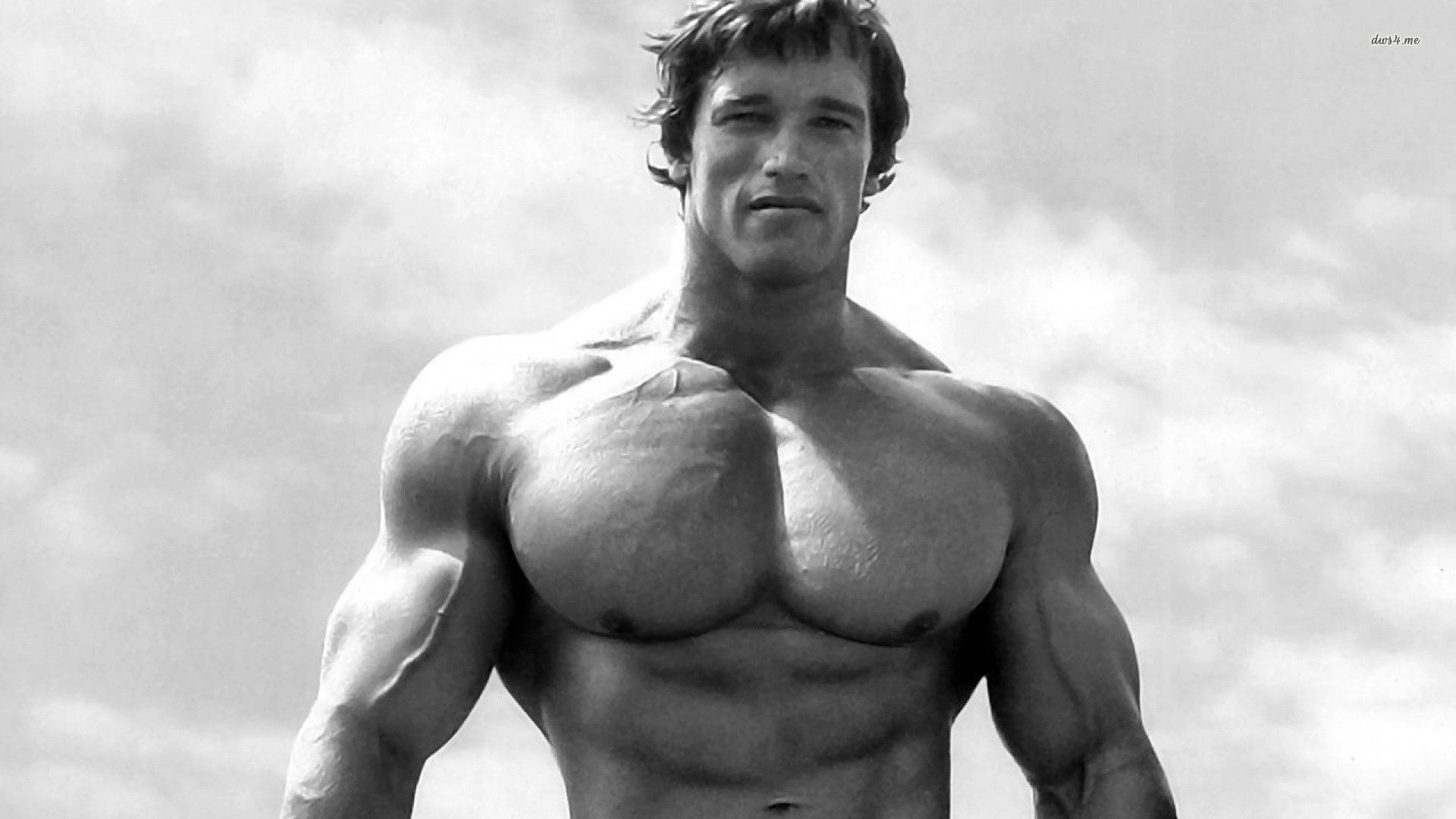 Arnold Schwarzenegger Wallpapers 4k Hd Arnold Schwarzenegger Backgrounds On Wallpaperbat Arnold Schwarzenegger Wallpapers 4k Hd Arnold Schwarzenegger Backgrounds On Wallpaperbat