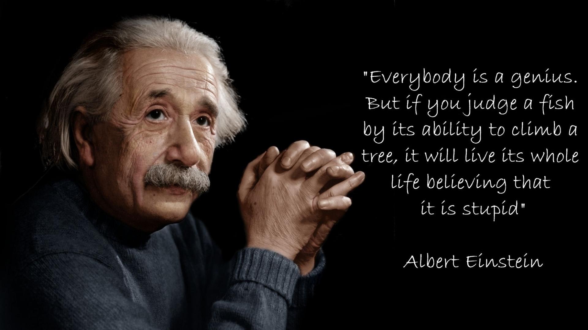 Albert Einstein Wallpapers 4k HD Albert Einstein Backgrounds On WallpaperBat