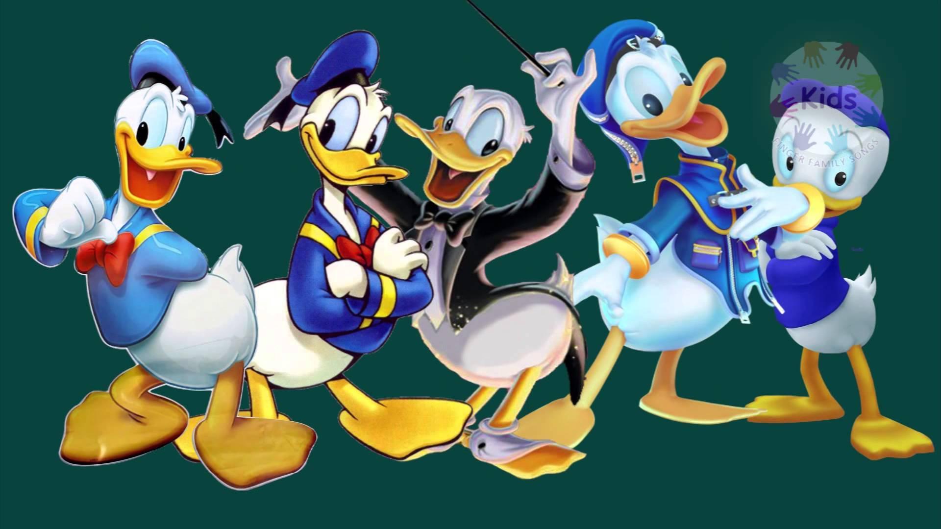 Donald Duck Wallpapers 4k Hd Donald Duck Backgrounds On Wallpaperbat 8794