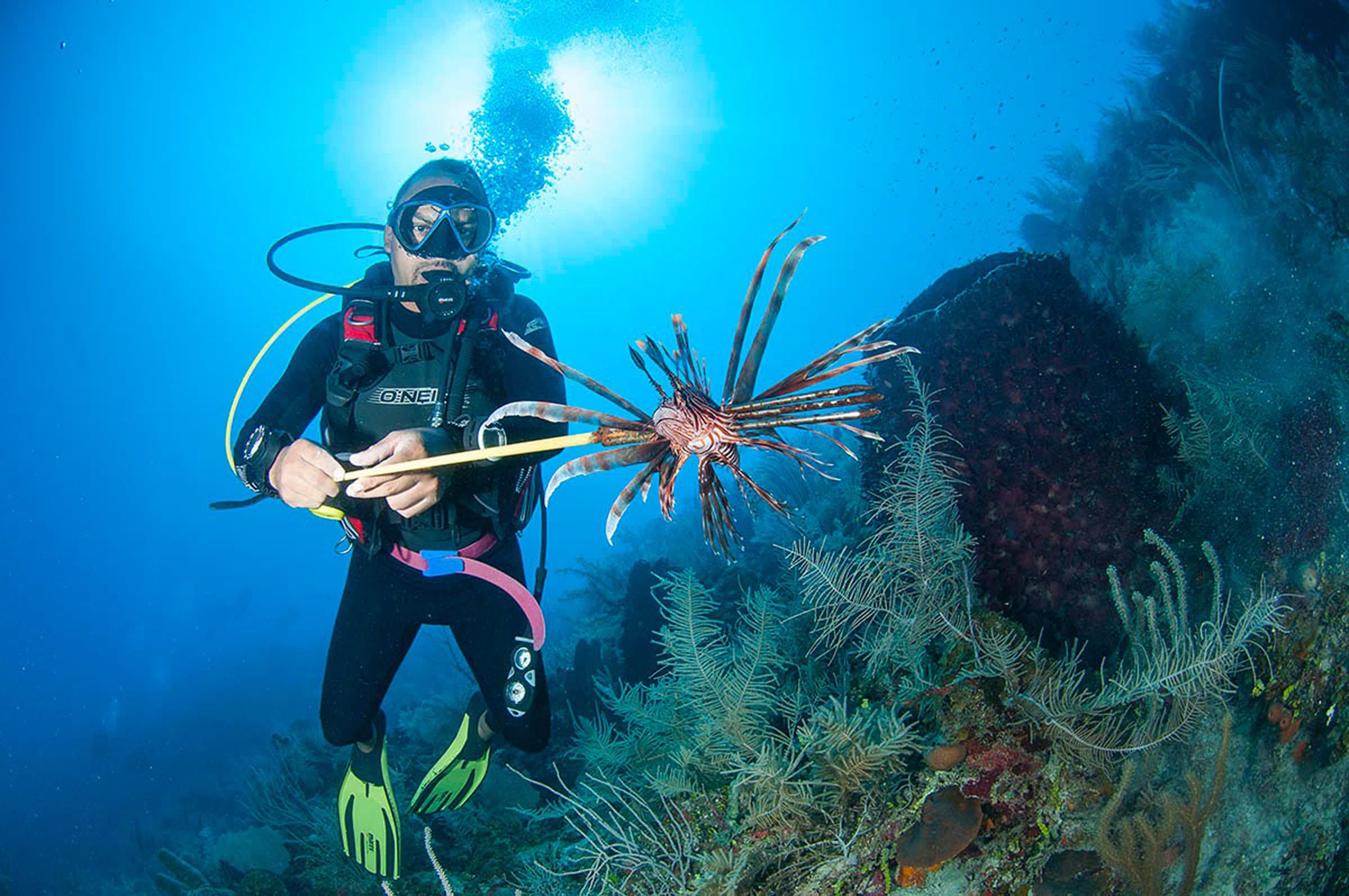 Kalkan Diving