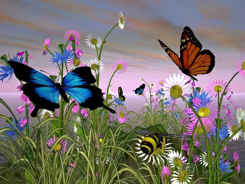 Nature Butterfly Wallpapers 4k Hd Nature Butterfly Backgrounds On Wallpaperbat