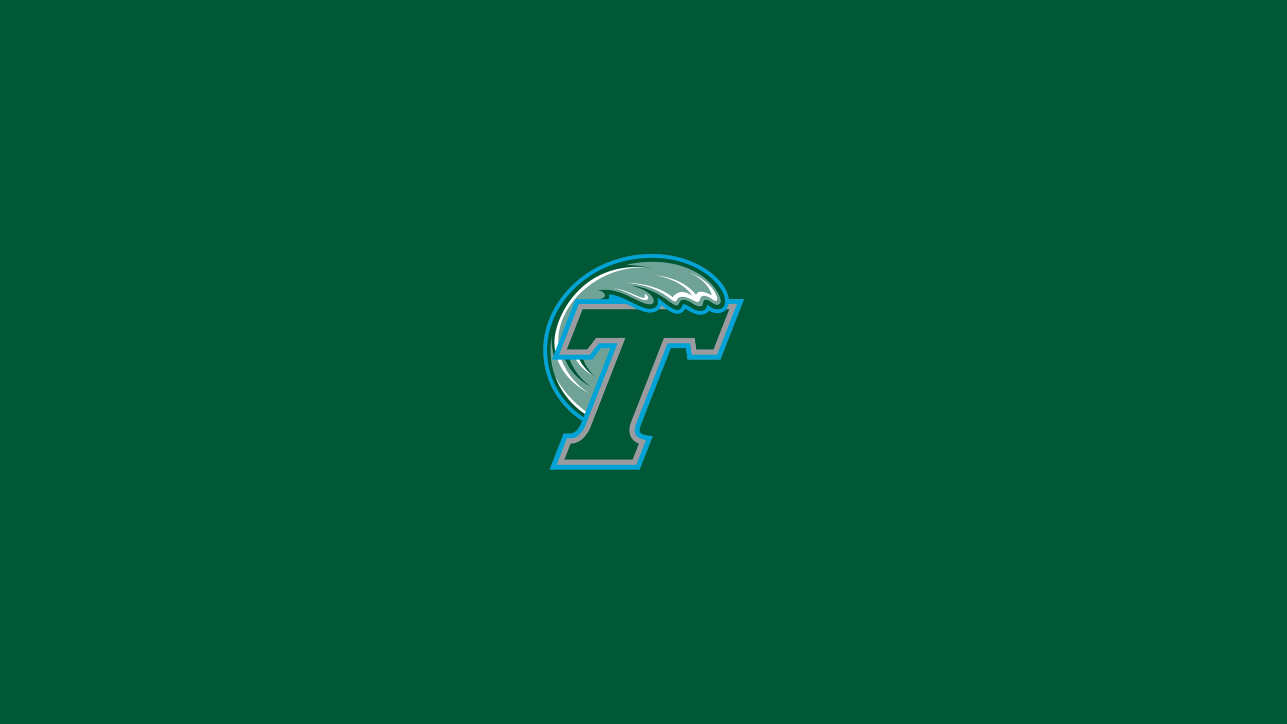 Tulane Green Wave Wallpapers 4k Hd Tulane Green Wave Backgrounds On