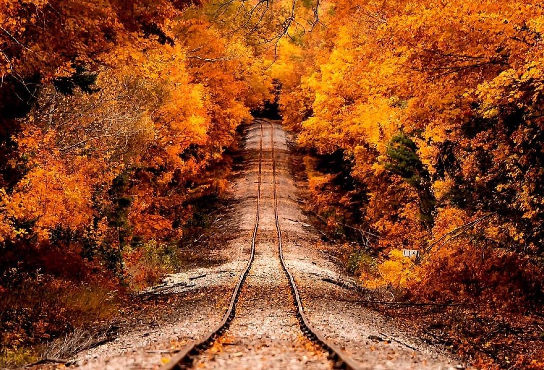 Autumn Train Wallpapers - 4k, HD Autumn Train Backgrounds on WallpaperBat