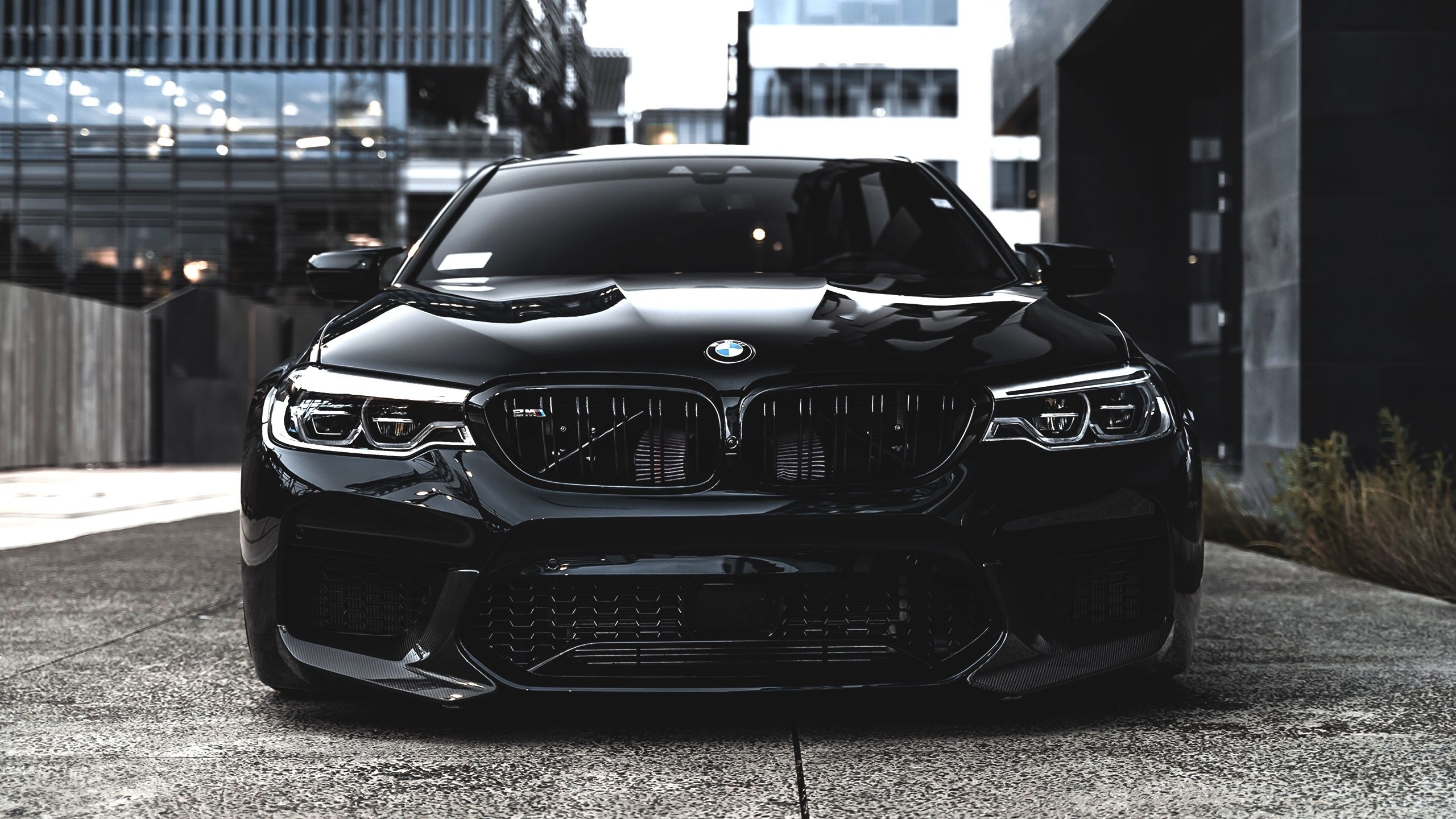 BMW M5 Wallpapers - 4k, HD BMW M5 Backgrounds on WallpaperBat