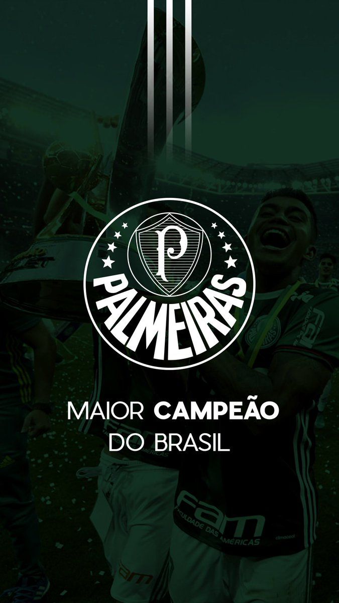 Palmeiras Wallpapers 4k Hd Palmeiras Backgrounds On Wallpaperbat 2887