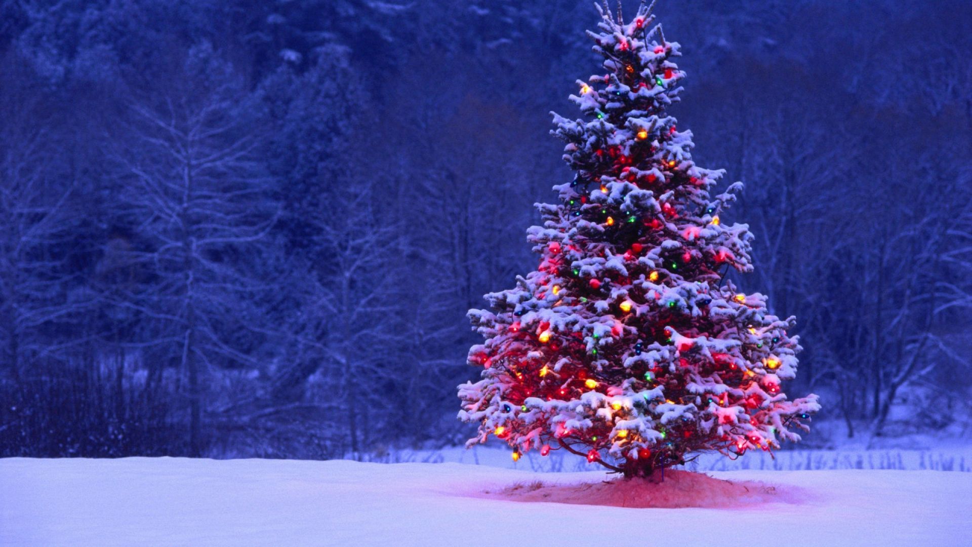1920X1080 Holiday Wallpapers - 4k, HD 1920X1080 Holiday Backgrounds on ...