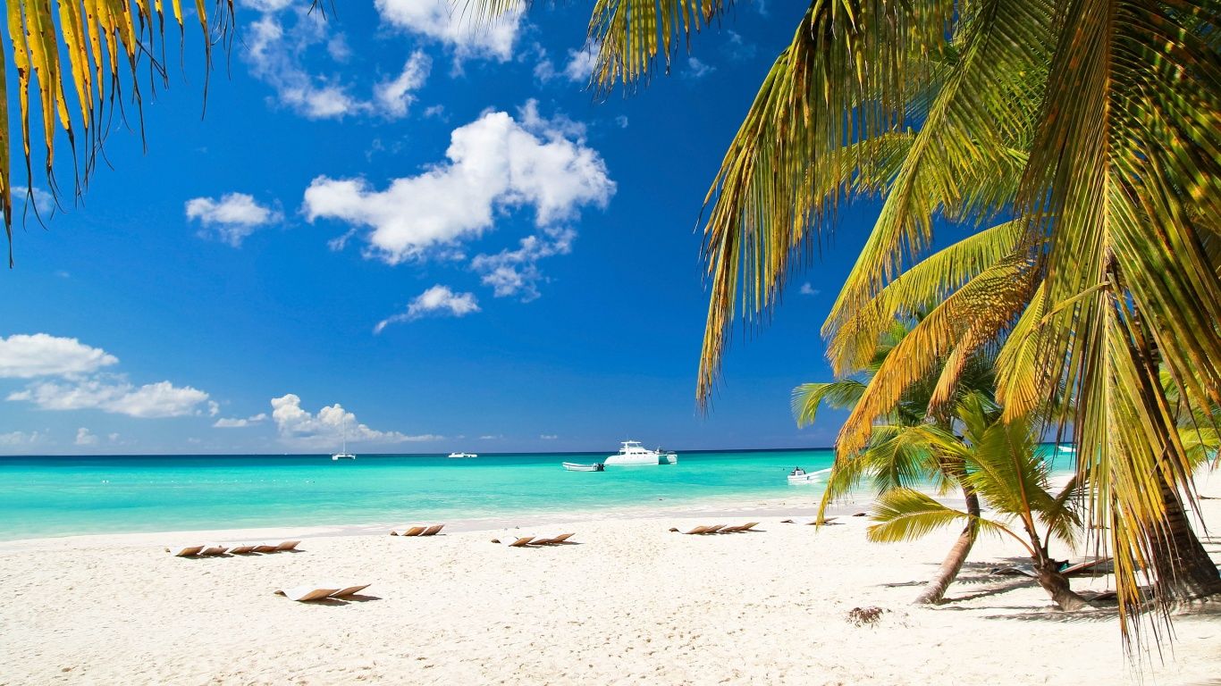 1366x768 Caribbean Beach, Palm Tree Wallpaper Download HD Wallpaper Photo.....