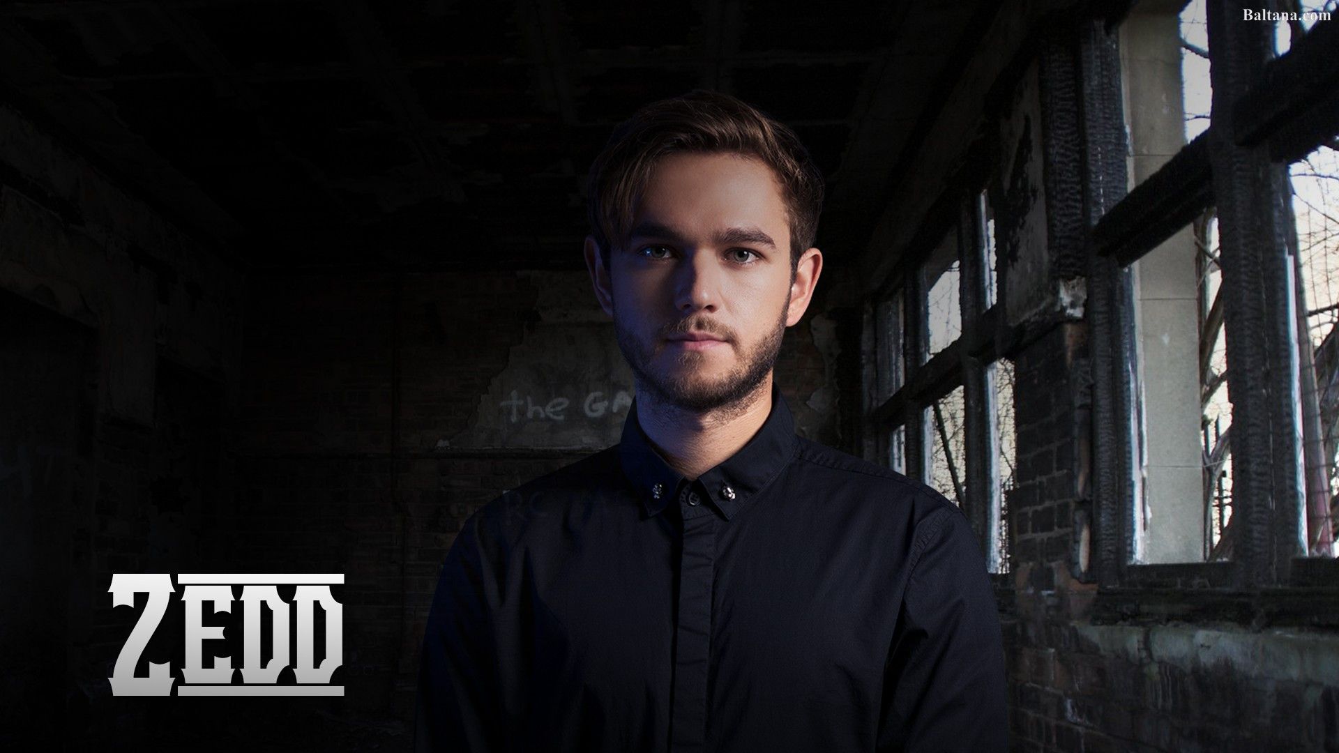 Zedd Wallpapers - 4k, HD Zedd Backgrounds on WallpaperBat