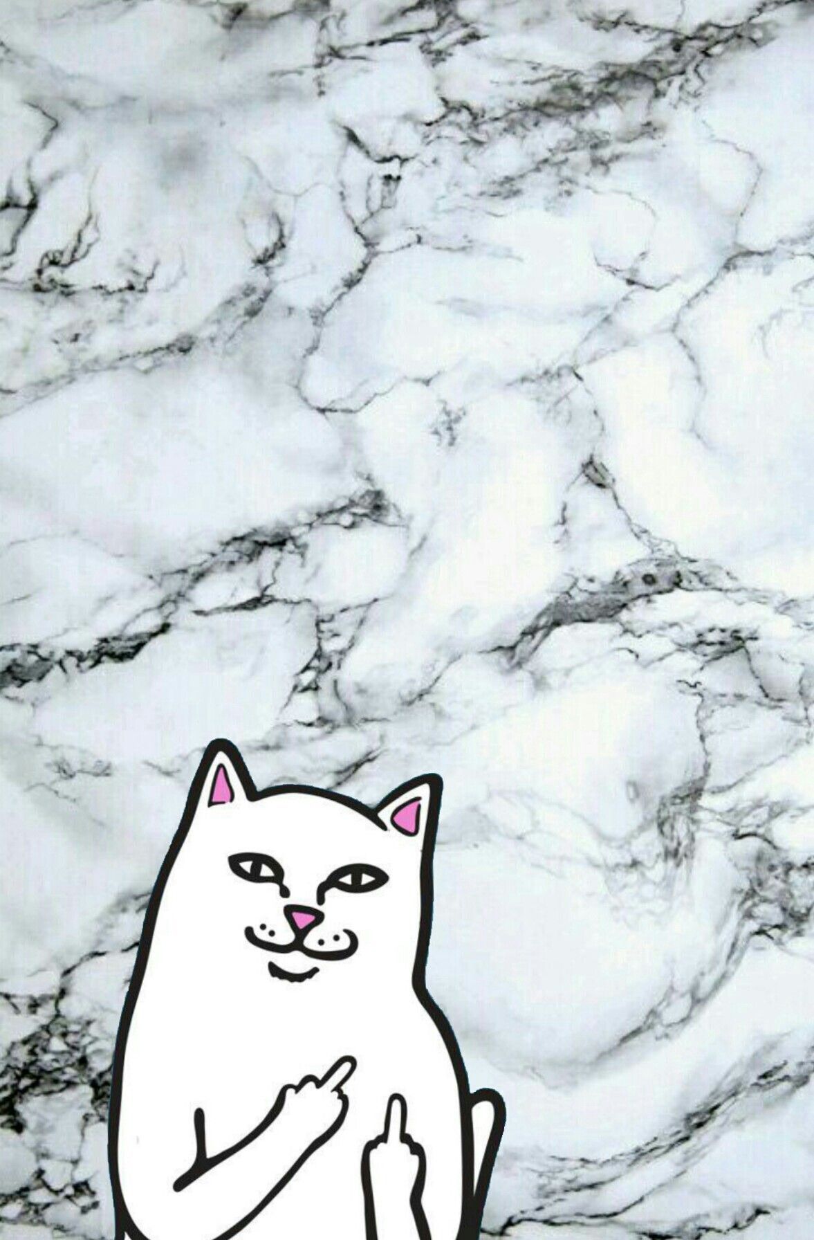 1177x1792 Cat Showing Middle Finger Wallpaper - Top Free Cat Showing Middle ...