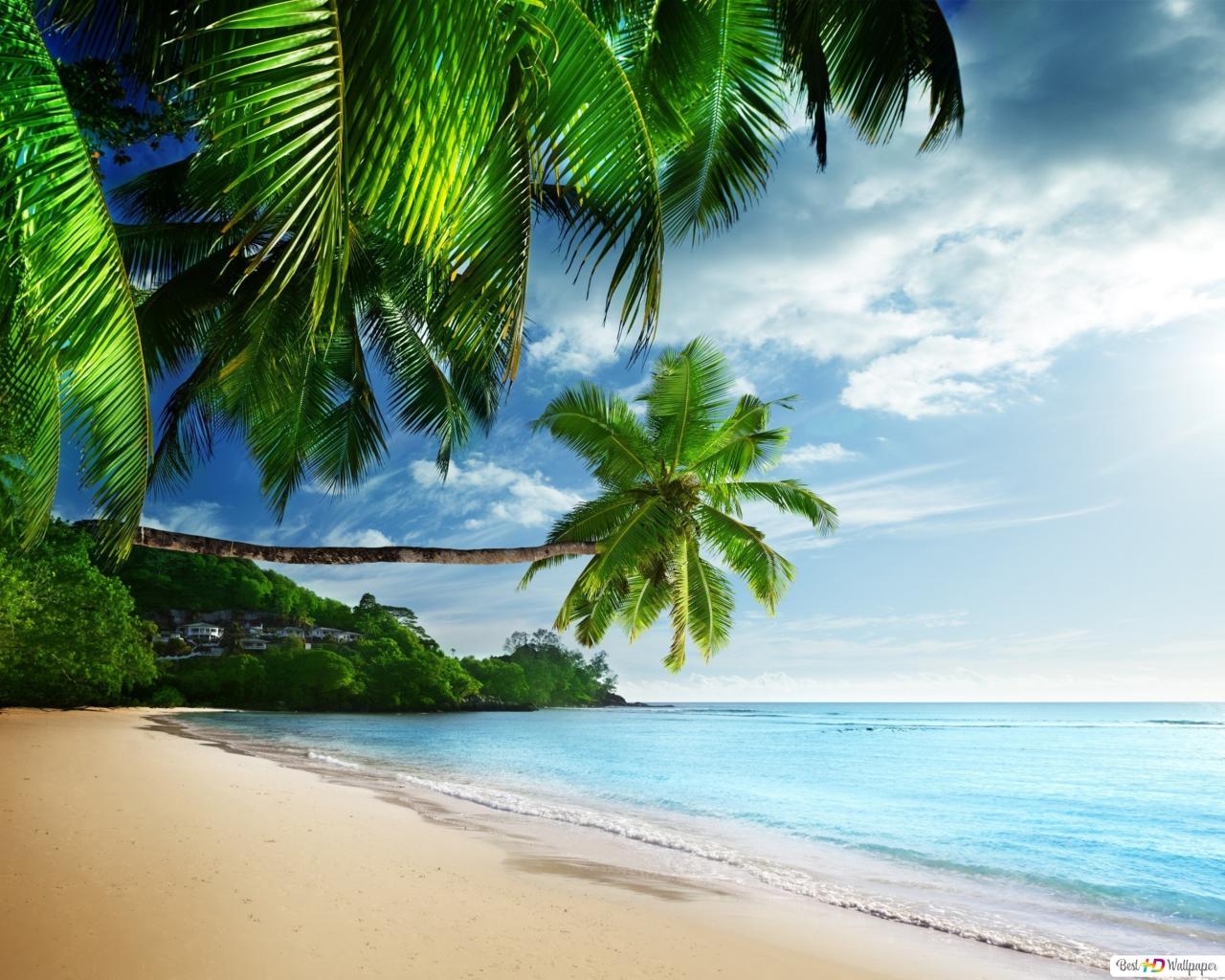 1280X1024 Tropical Wallpapers - 4k, HD 1280X1024 Tropical Backgrounds ...