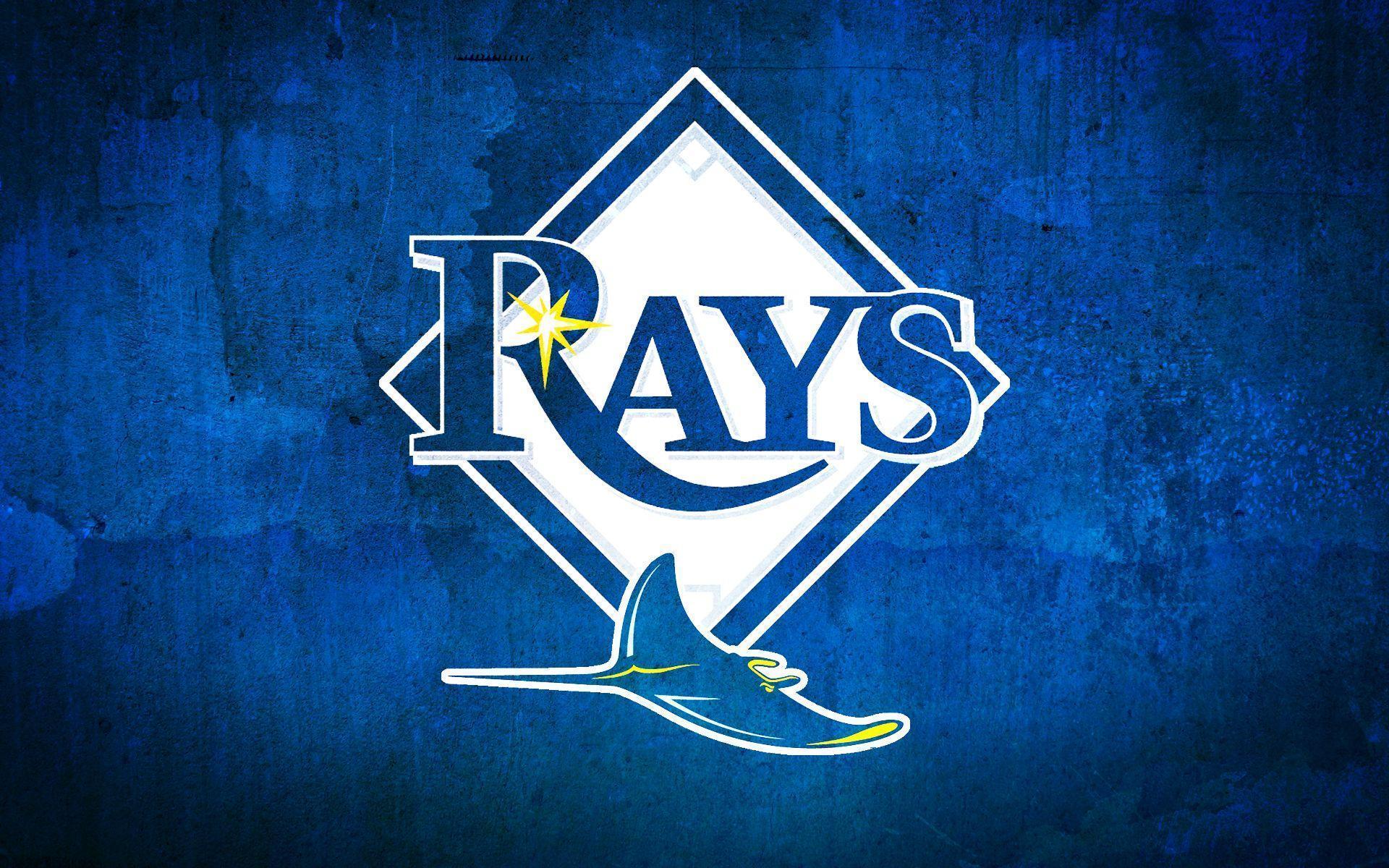 Tampa Bay Rays 4 x 4 TB Logo Perfect Cut Decal – Heads and Tails