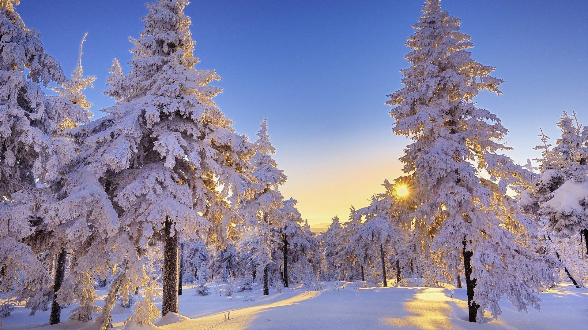 1920x1080 Winter Wonderland Desktop Wallpapers - Top Free Winter Wonderland ... Wallpaper