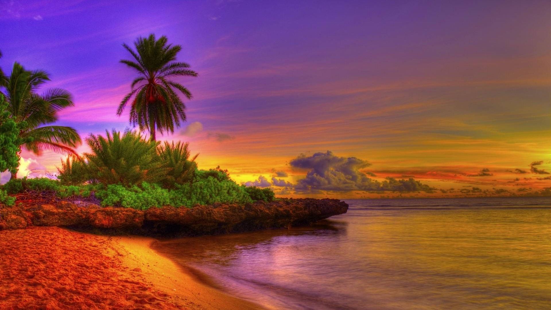 Tropical Sunrise Wallpapers - 4k, HD Tropical Sunrise Backgrounds on ...