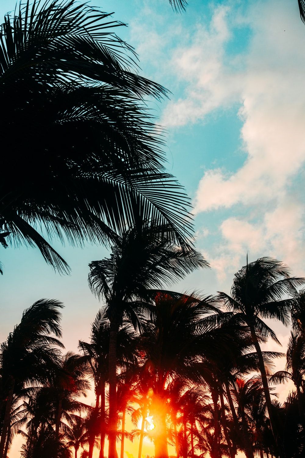 Tropical Sunrise Wallpapers 4k Hd Tropical Sunrise Backgrounds On Wallpaperbat