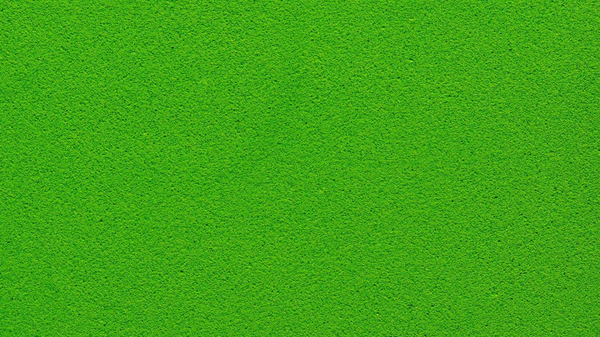 Solid Green Wallpapers K Hd Solid Green Backgrounds On Wallpaperbat