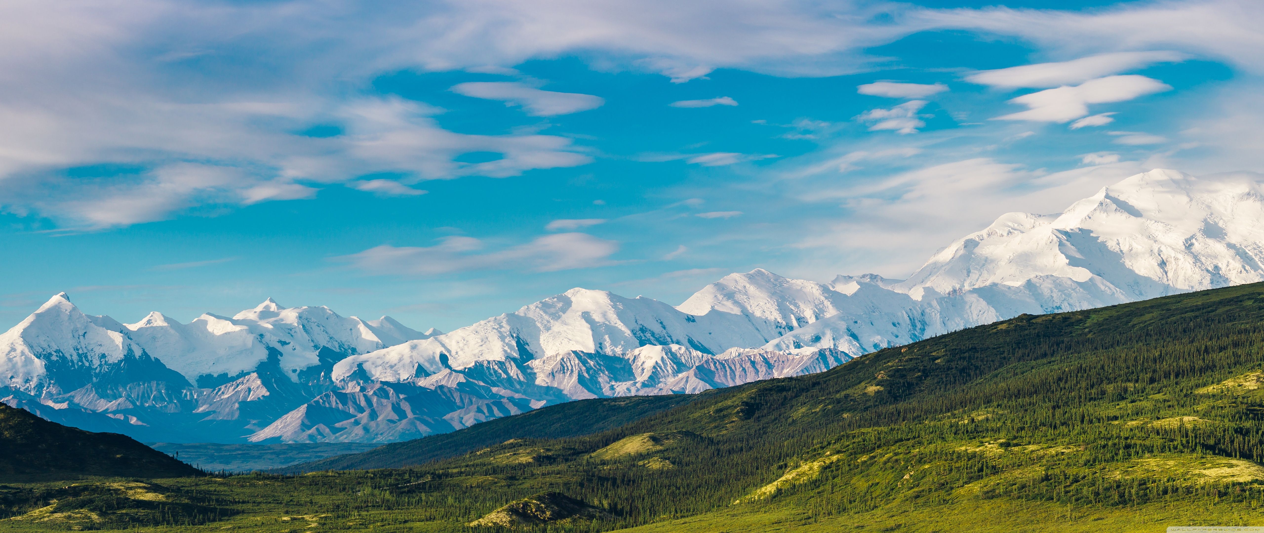 Лазоревые горы. Национальный парк Денали Аляска. Хищники горы Денали. Горы вид сверху. Природа.
