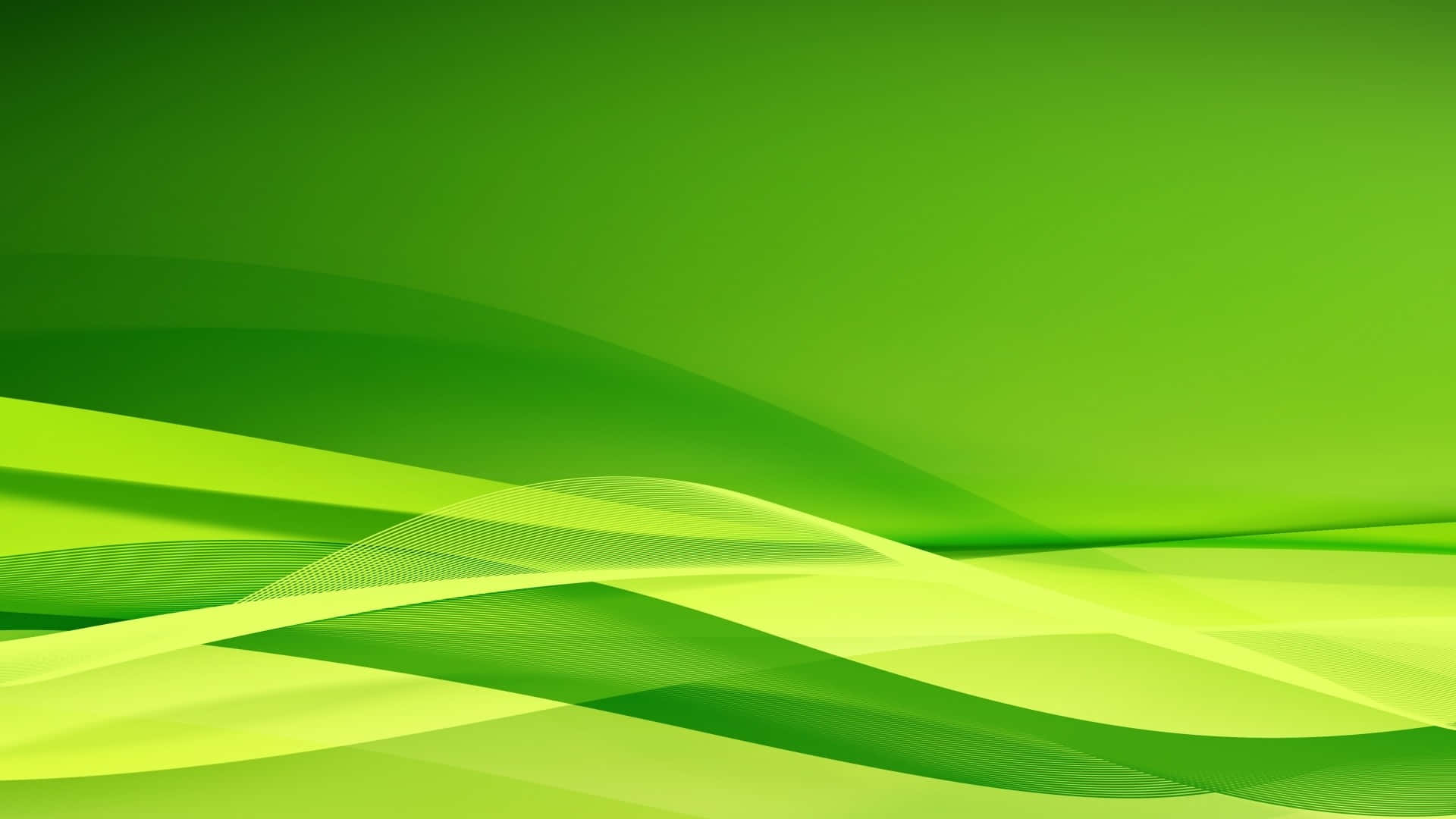 Lime Green Wallpapers - 4k, HD Lime Green Backgrounds on WallpaperBat
